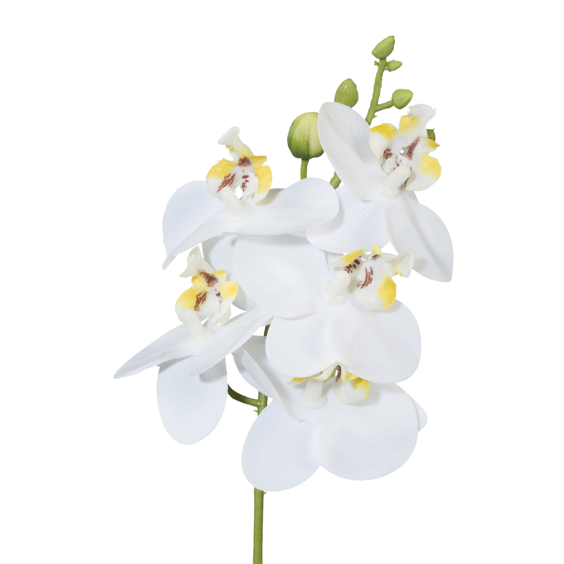 Kunstblume Phalaenopsis Weiß