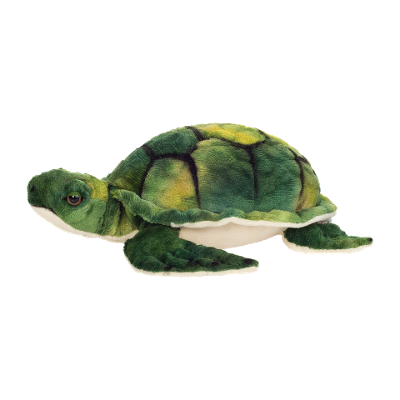 Plüschtier Wasserschildkröte, ca. 23cm Grün Plüschtier Wasserschildkröte, ca. 23cm Grün