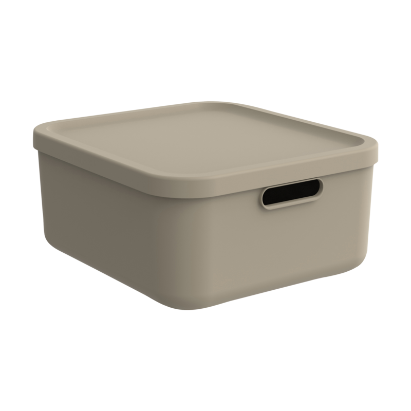 Rotho Box Albula