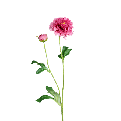 Kunstblume Ranunkel grün/pink Kunstblume Ranunkel grün/pink