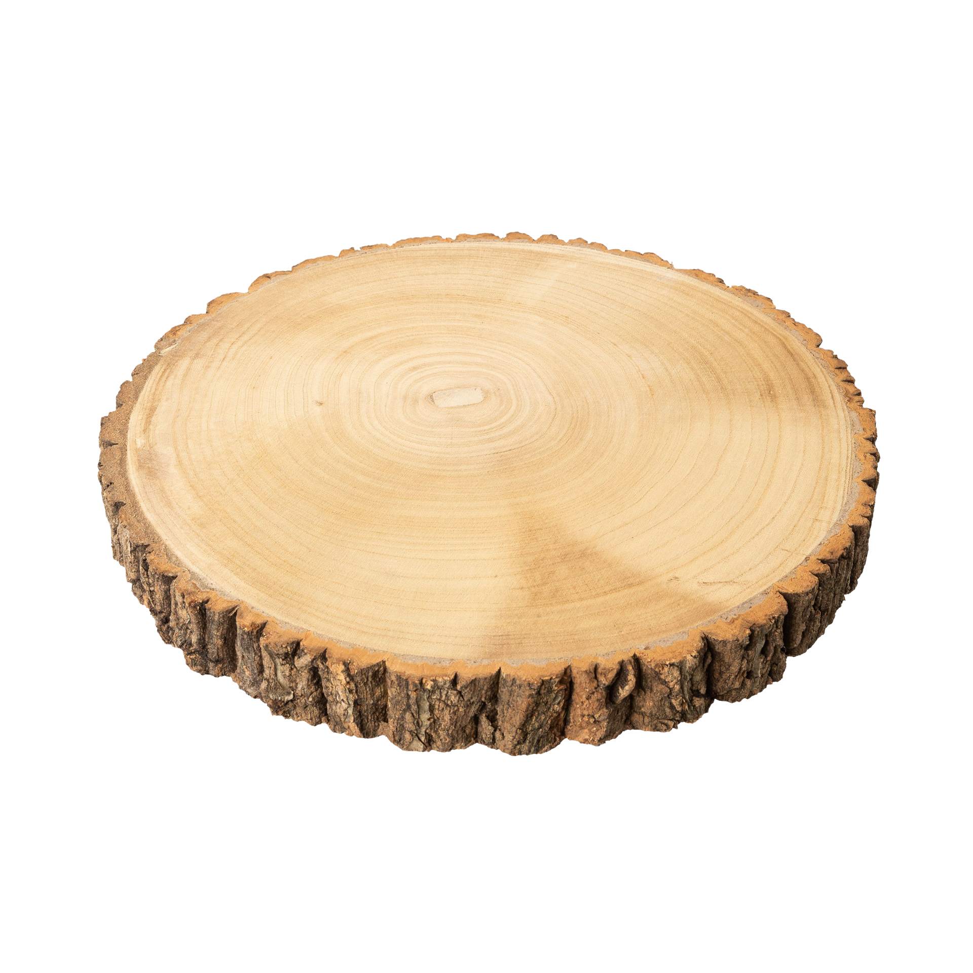 Holzscheibe Rinde Natur Holzscheibe Rinde Natur