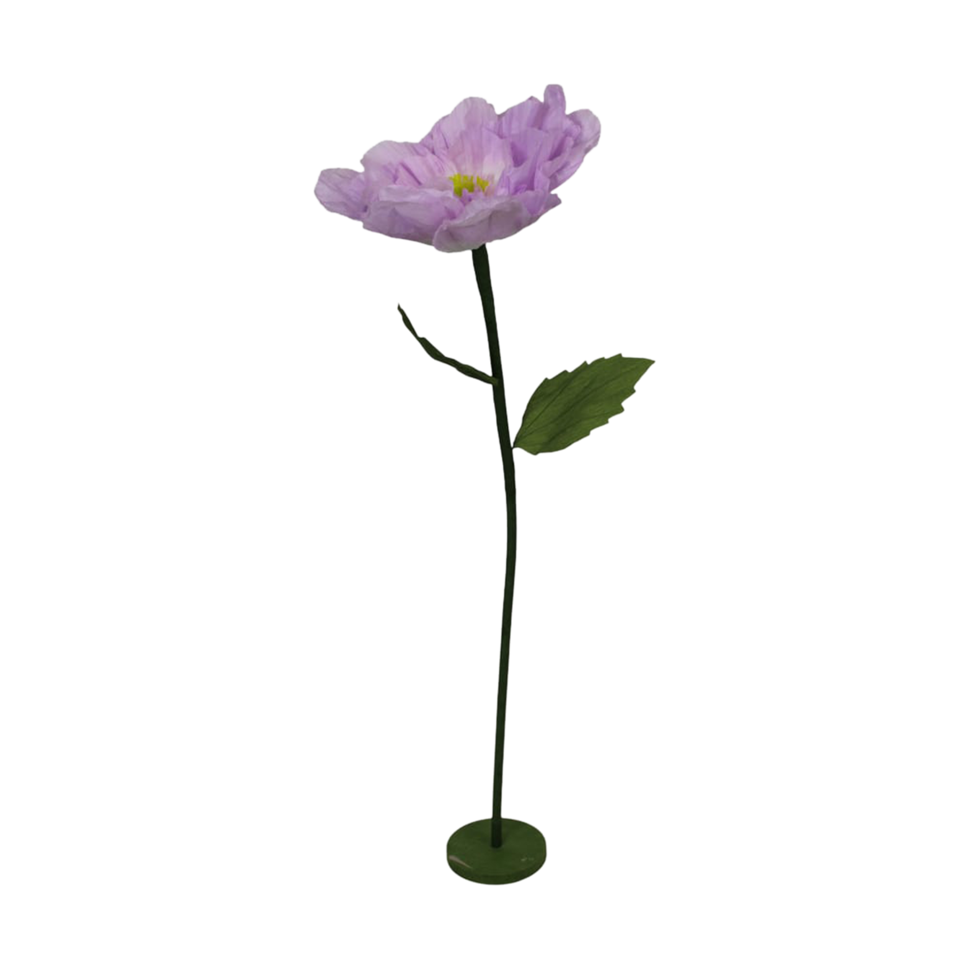 Pflanze Blume Lila-Weiß Pflanze Blume Lila-Weiß