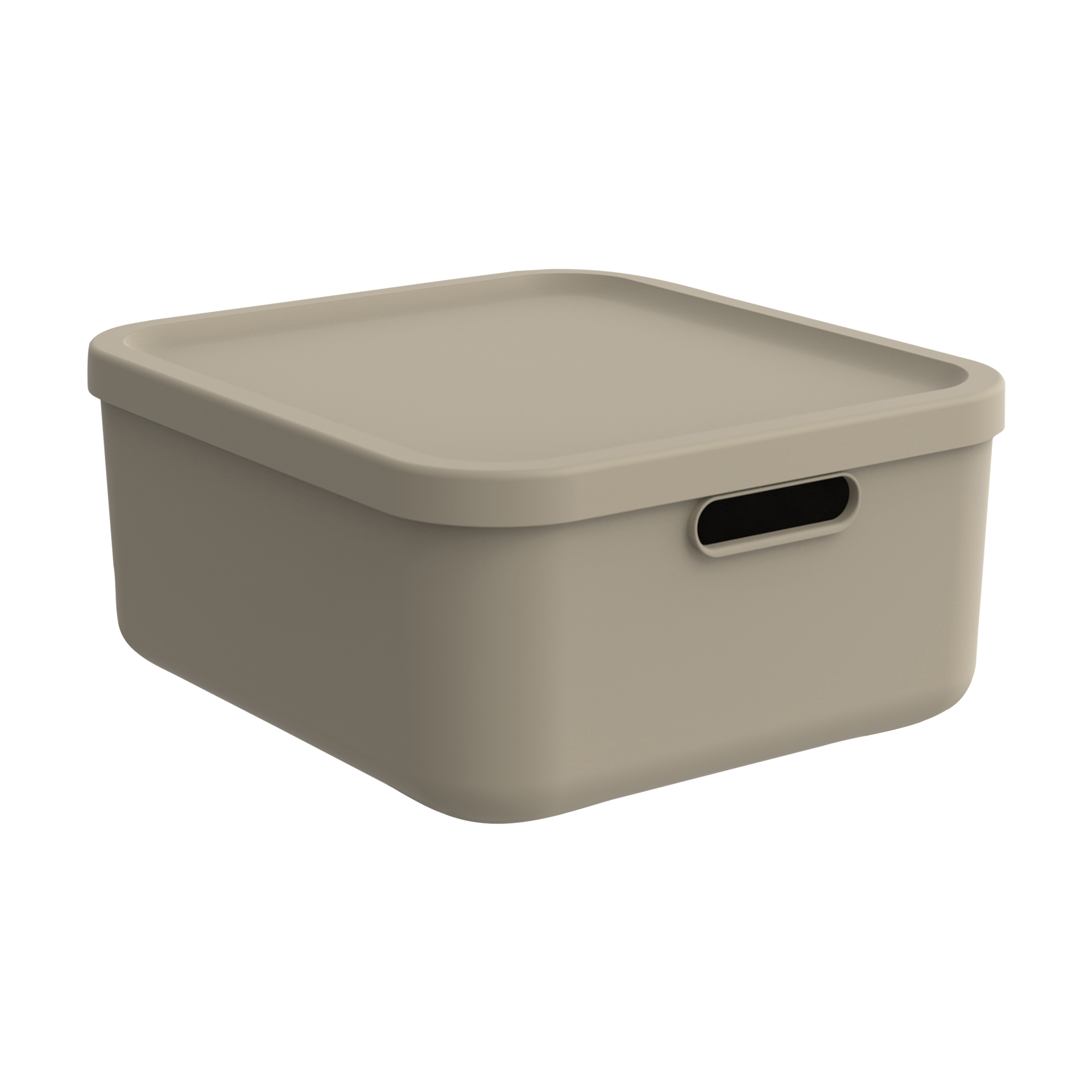 Rotho Box Albula Rotho Box Albula