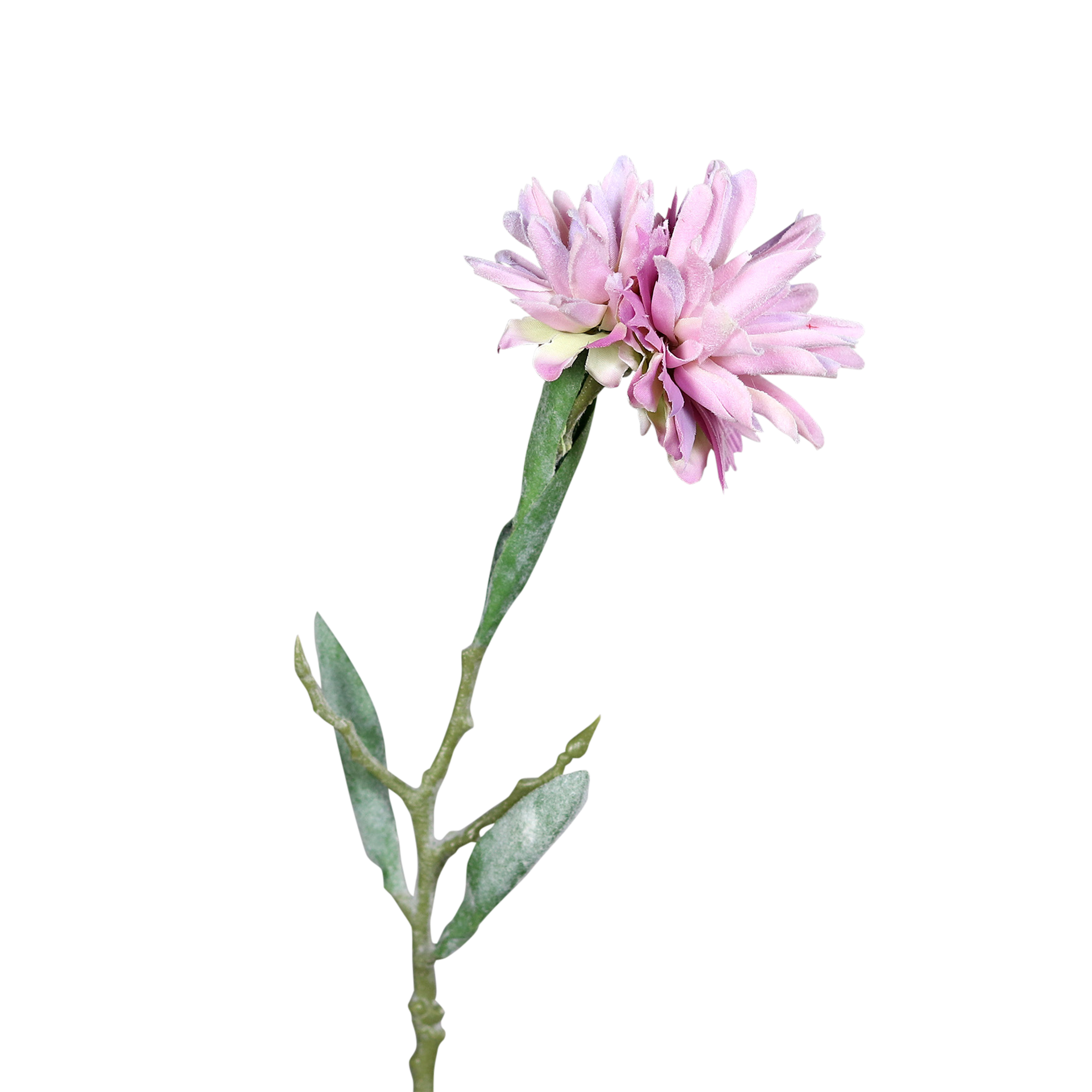 Kunstblume Leucospermum Lavender
