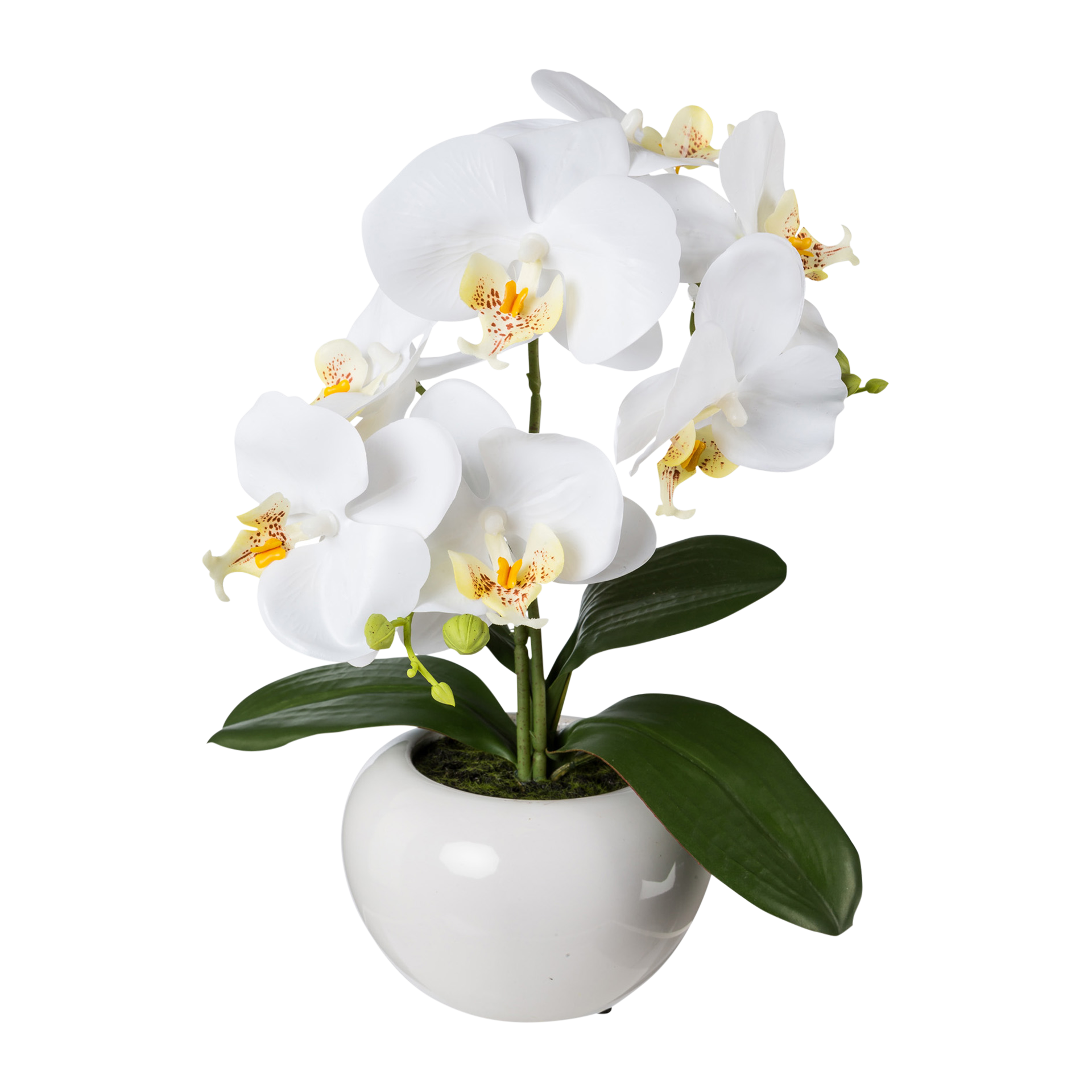 Kunstblume Phalaenopsis Weiß
