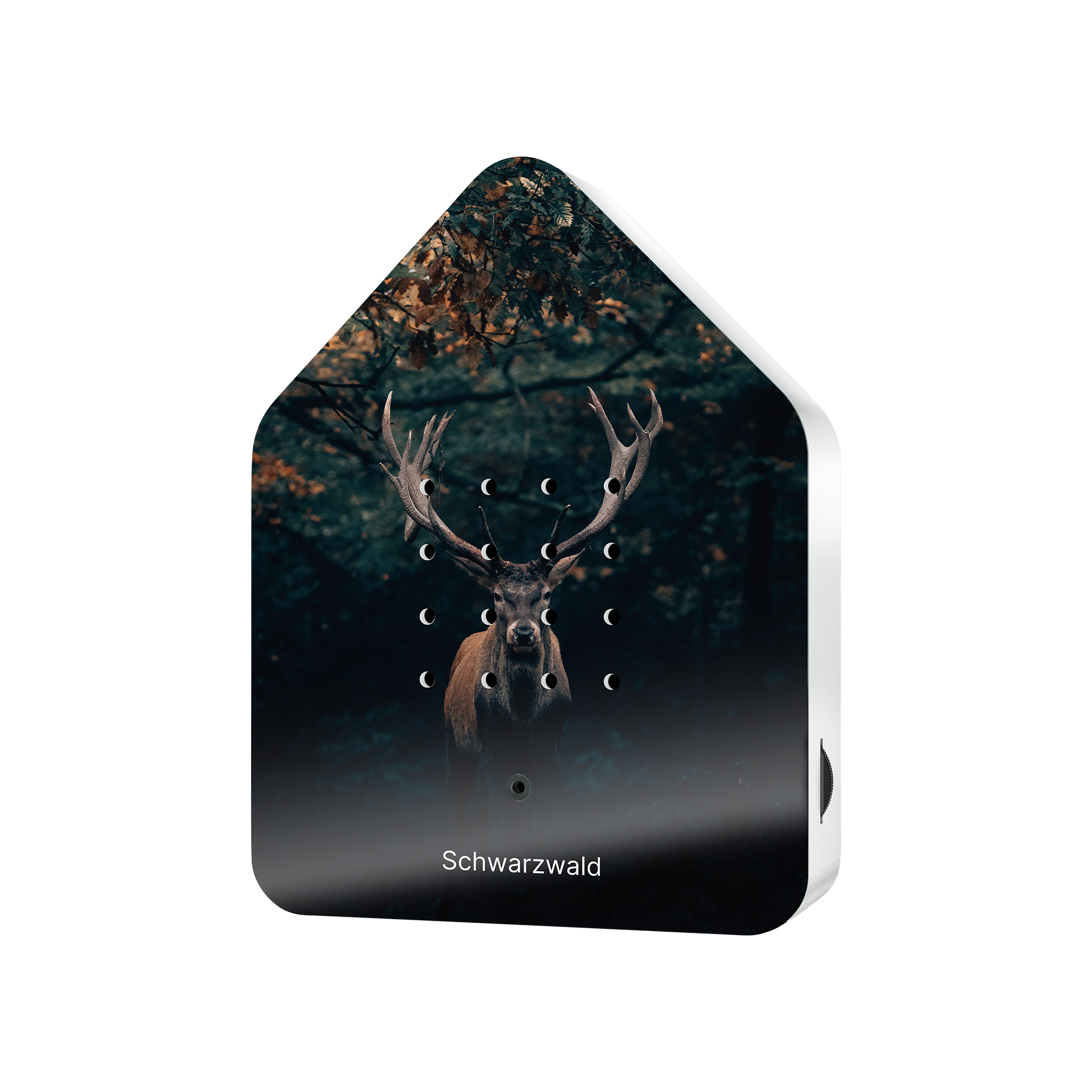 Dekoaufsteller Black Forest Grün-Braun Dekoaufsteller Black Forest Grün-Braun