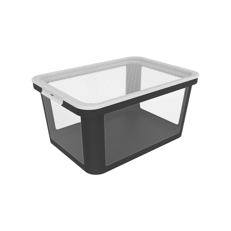 Rotho Box Albris Rotho Box Albris