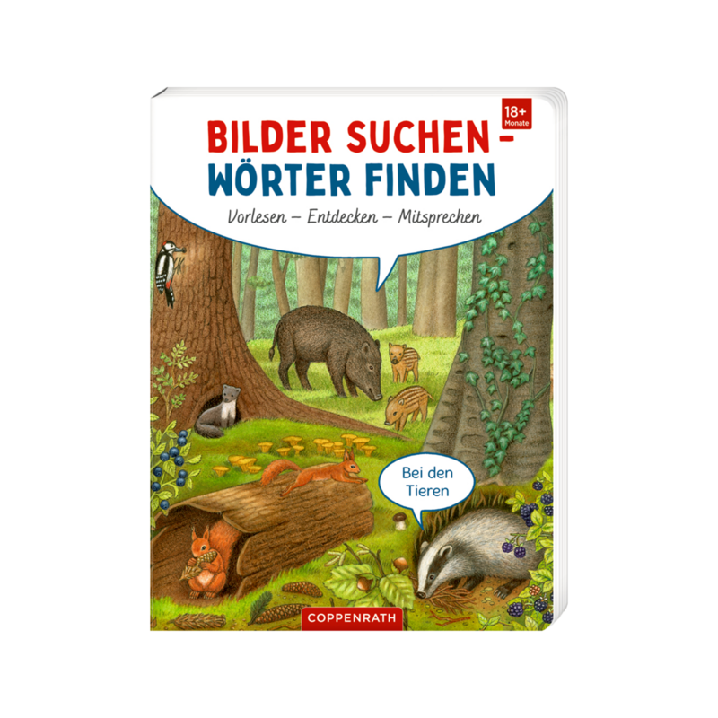 Buch Pappbilderbuch Mehrfarbig