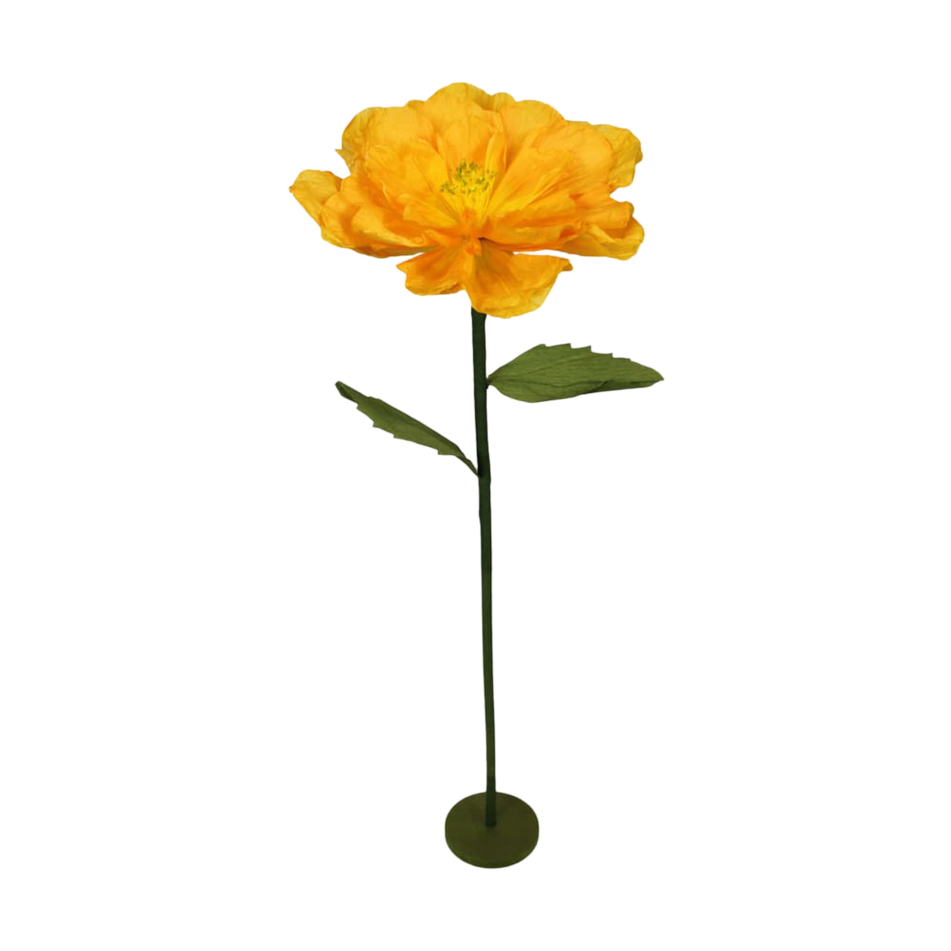 Pflanze Blume Orange Pflanze Blume Orange