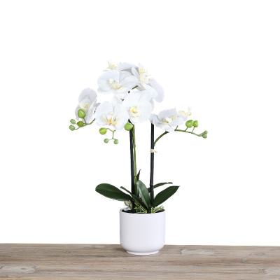 Kunstblume Orchidee Cream