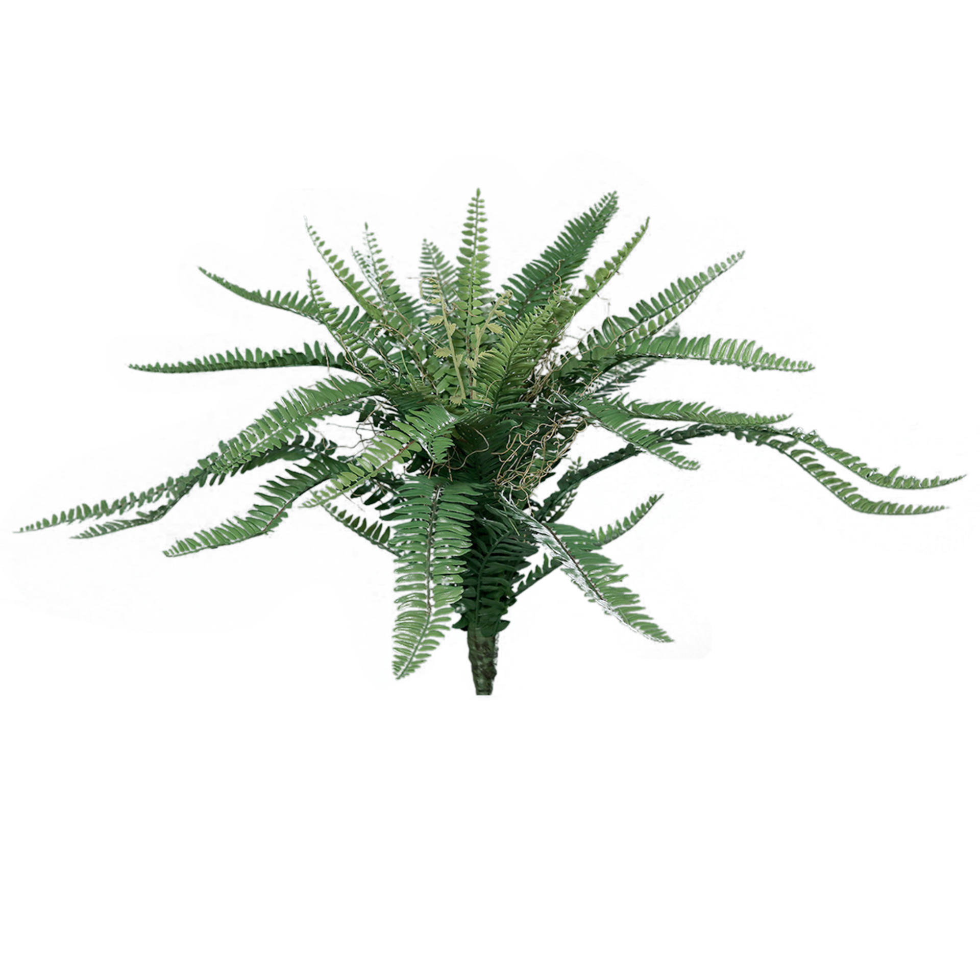 Kunstpflanze Farn Grün Kunstpflanze Farn Grün