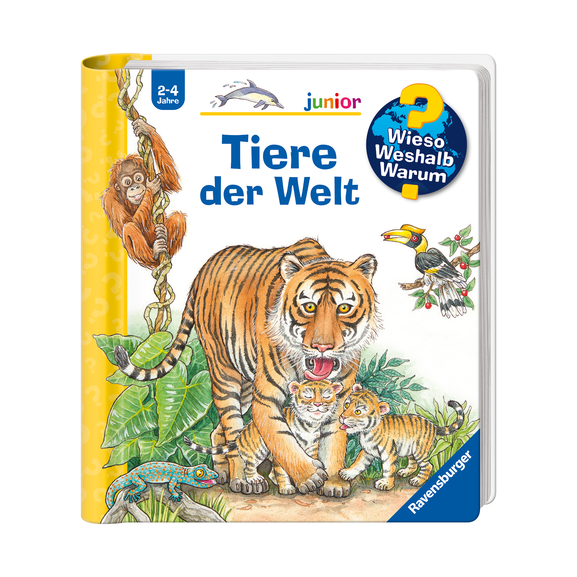 Buch WWW junio: Tiere der Welt Mehrfarbig Buch WWW junio: Tiere der Welt Mehrfarbig