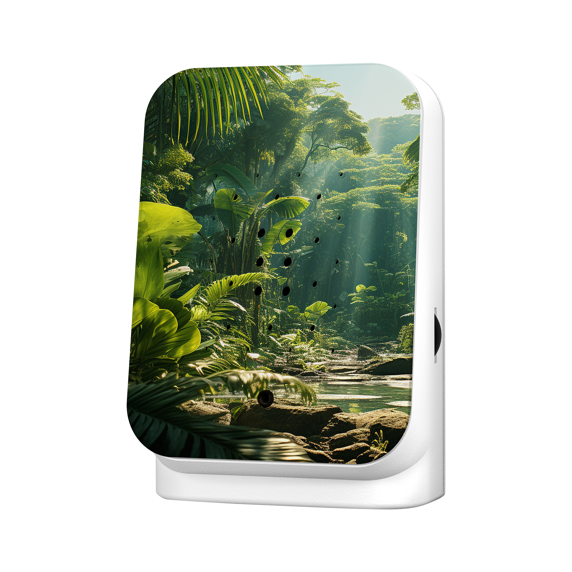 Dekoaufsteller Junglebox Maliau