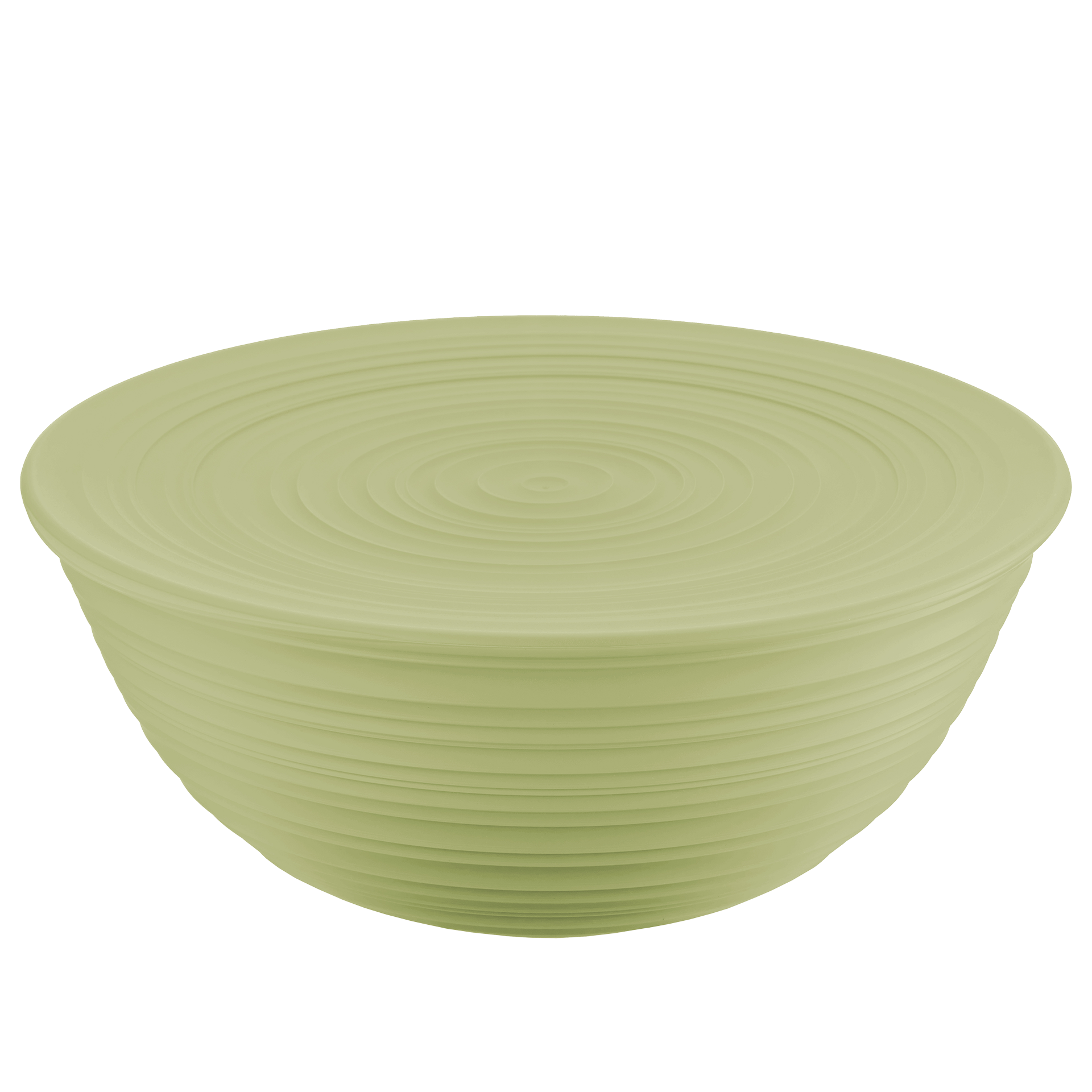 Schüssel Tierra 1