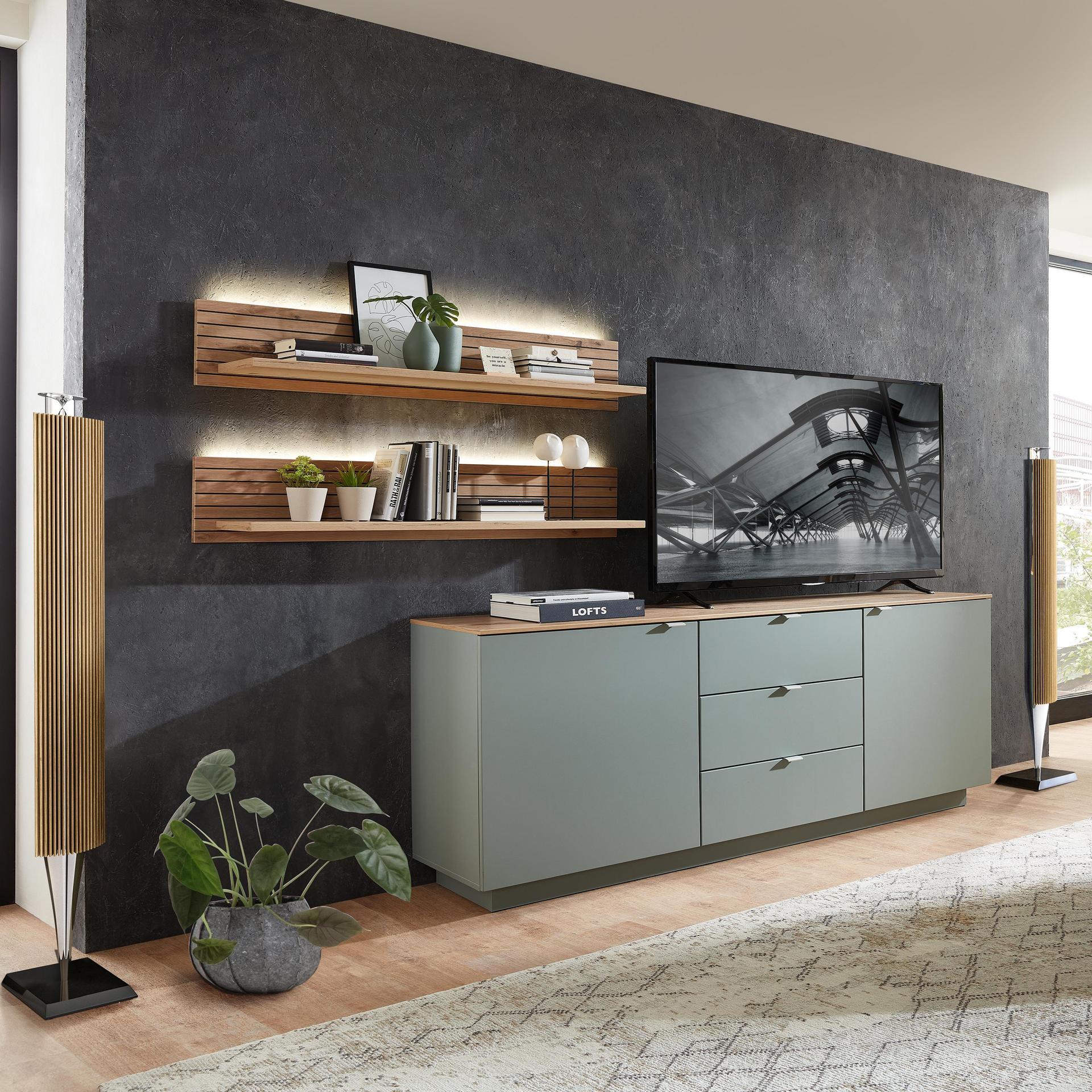 Wohnwand Core 3-teilig Grün 44*240*170 Wohnwand Core 3-teilig Grün 44*240*170