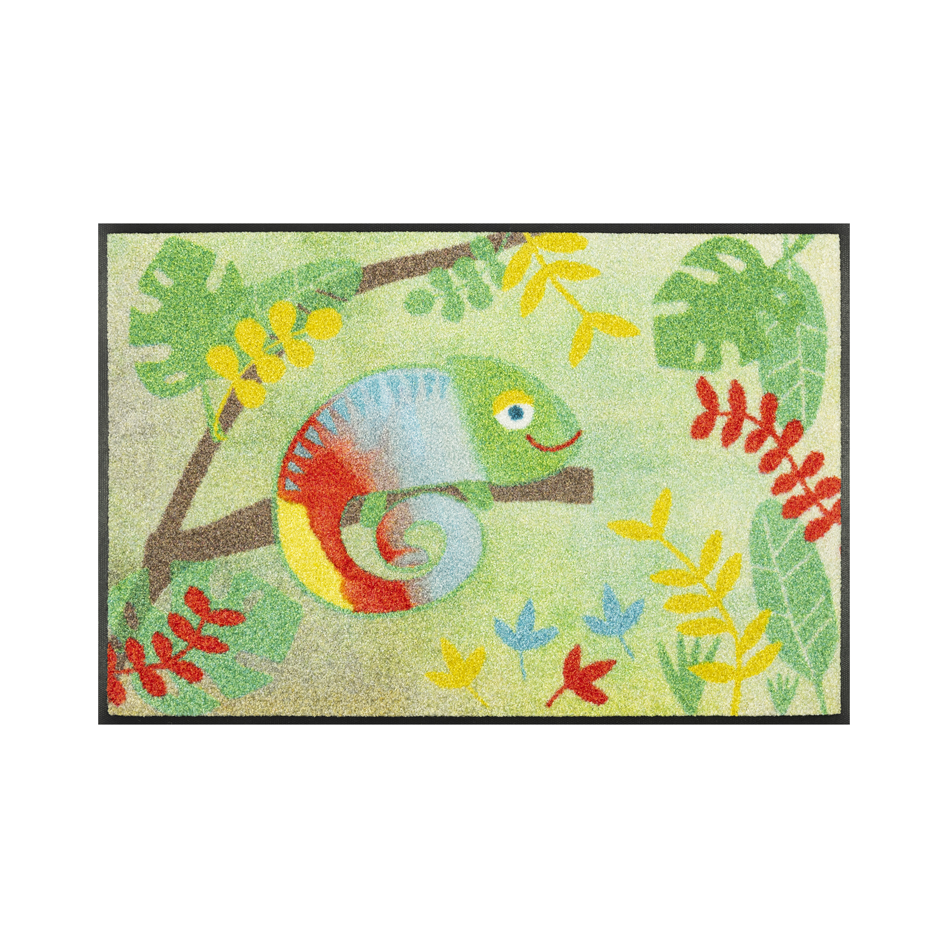 Fußmatte Chameluxe 50x75 Bunt