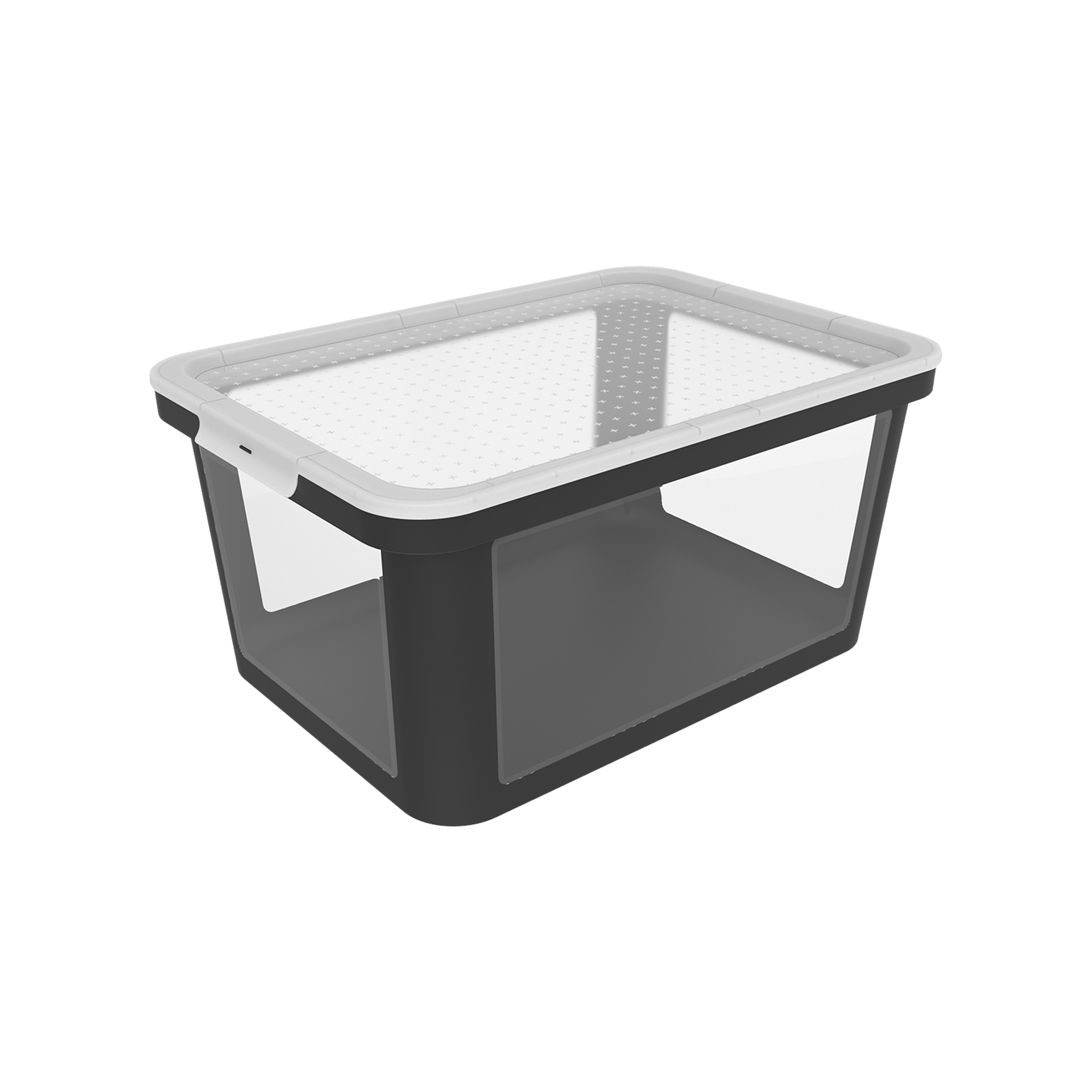 Rotho Box Albris Rotho Box Albris