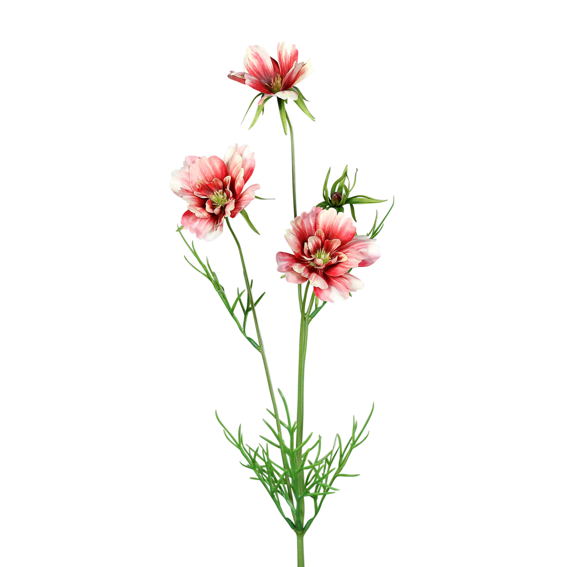 Kunstblume Cosmea Red Kunstblume Cosmea Red