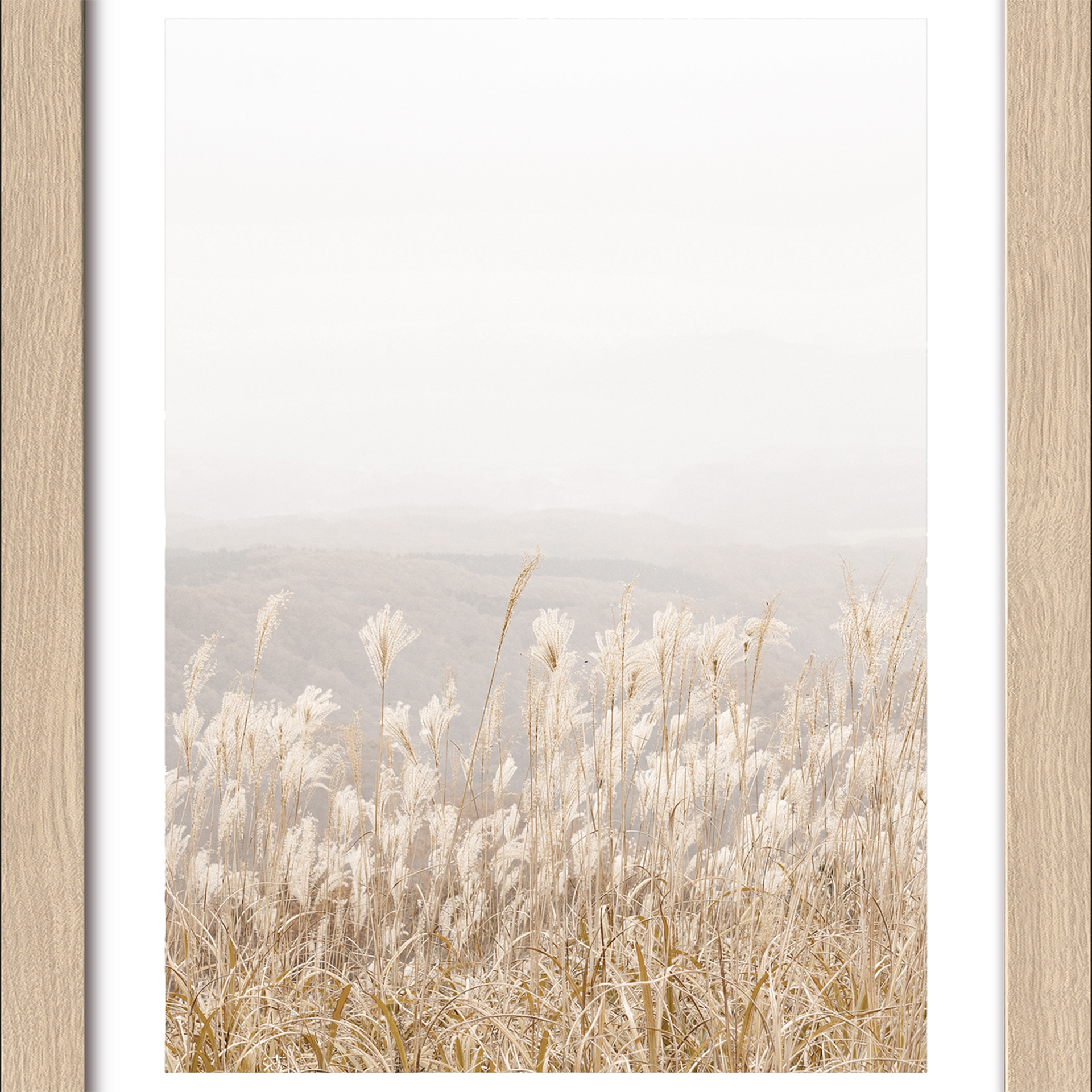 Bild Dried Fiber IV Mehrfarbig Bild Dried Fiber IV Mehrfarbig