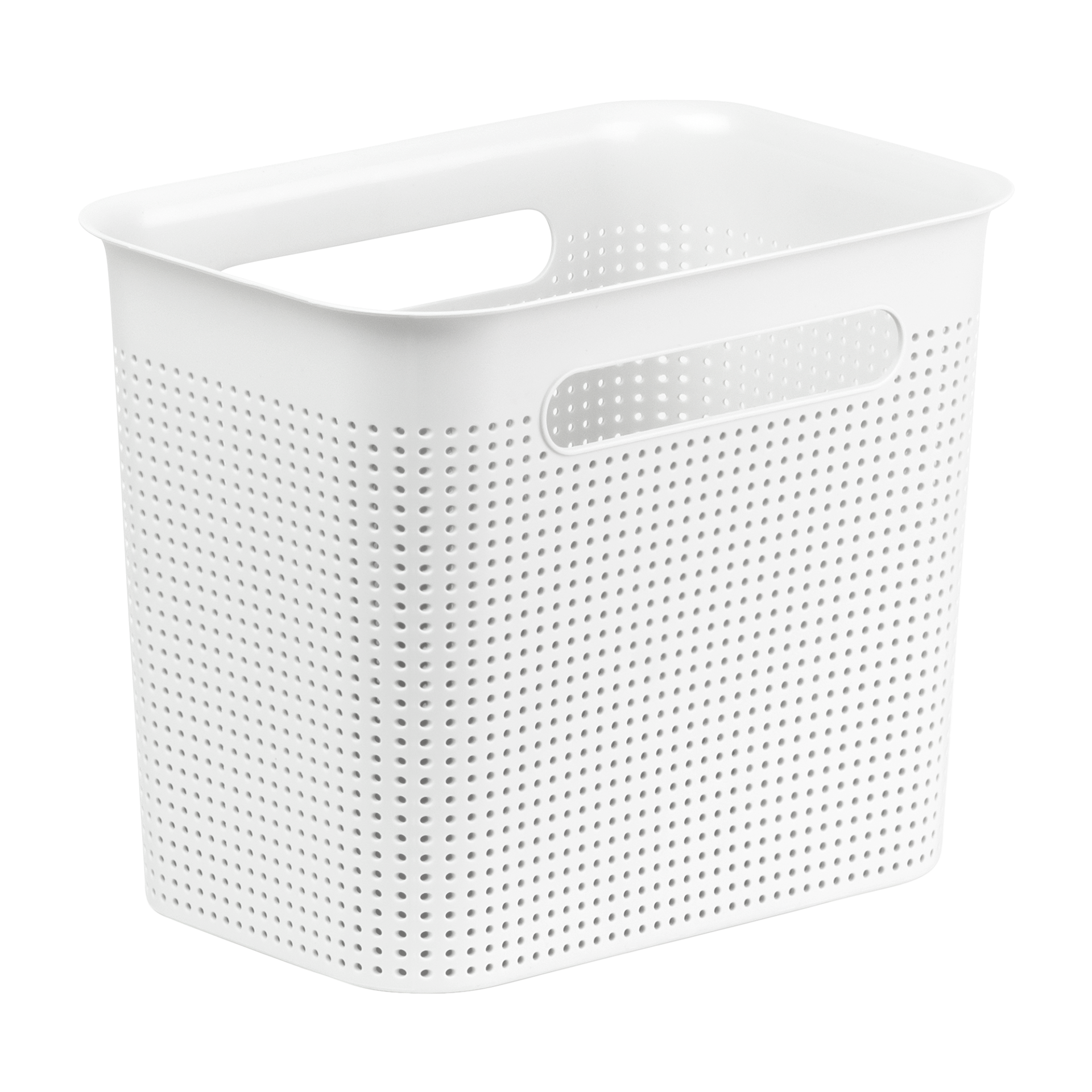 Rotho Box Brisen Rotho Box Brisen