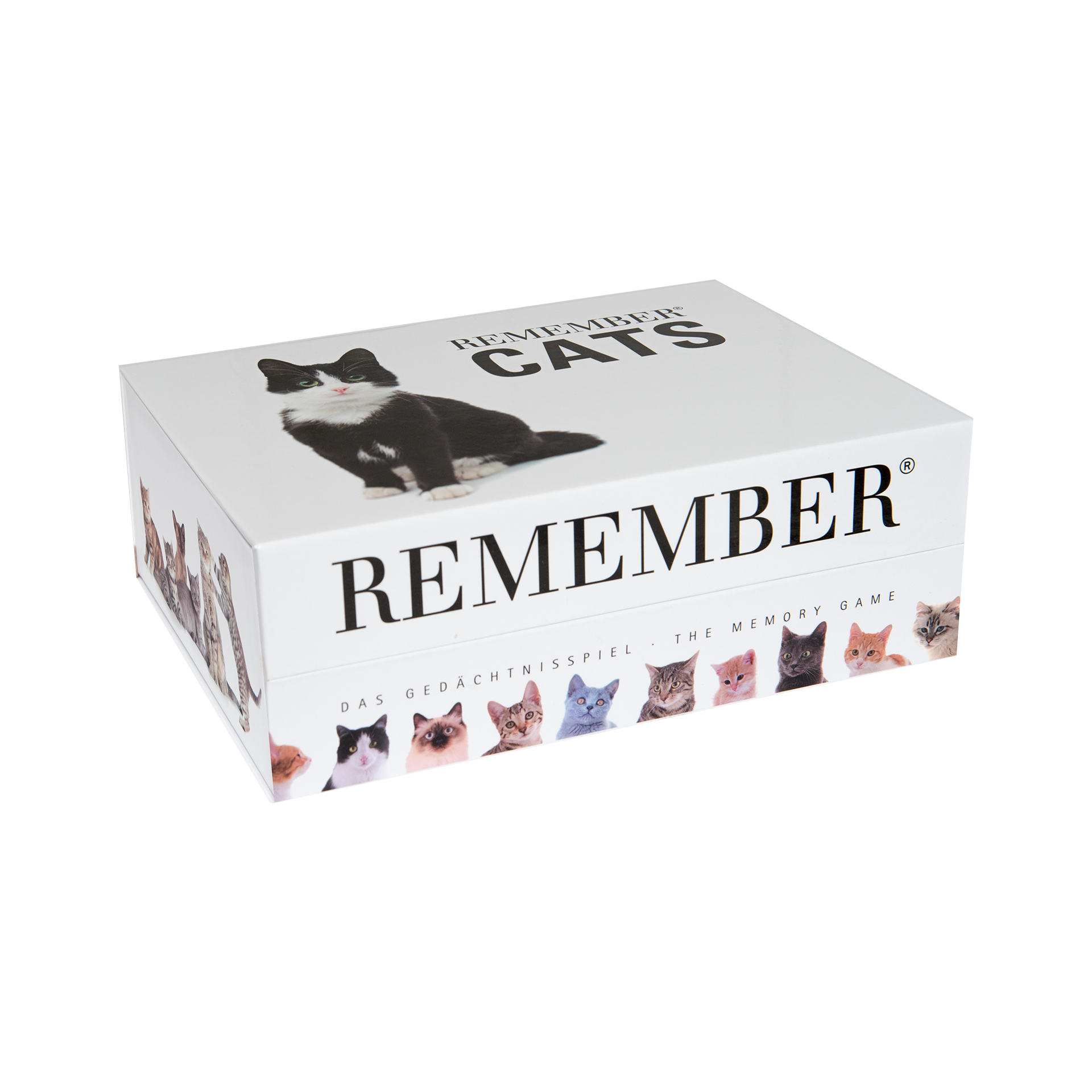 Spiel Cats Mehrfarbig Spiel Cats Mehrfarbig