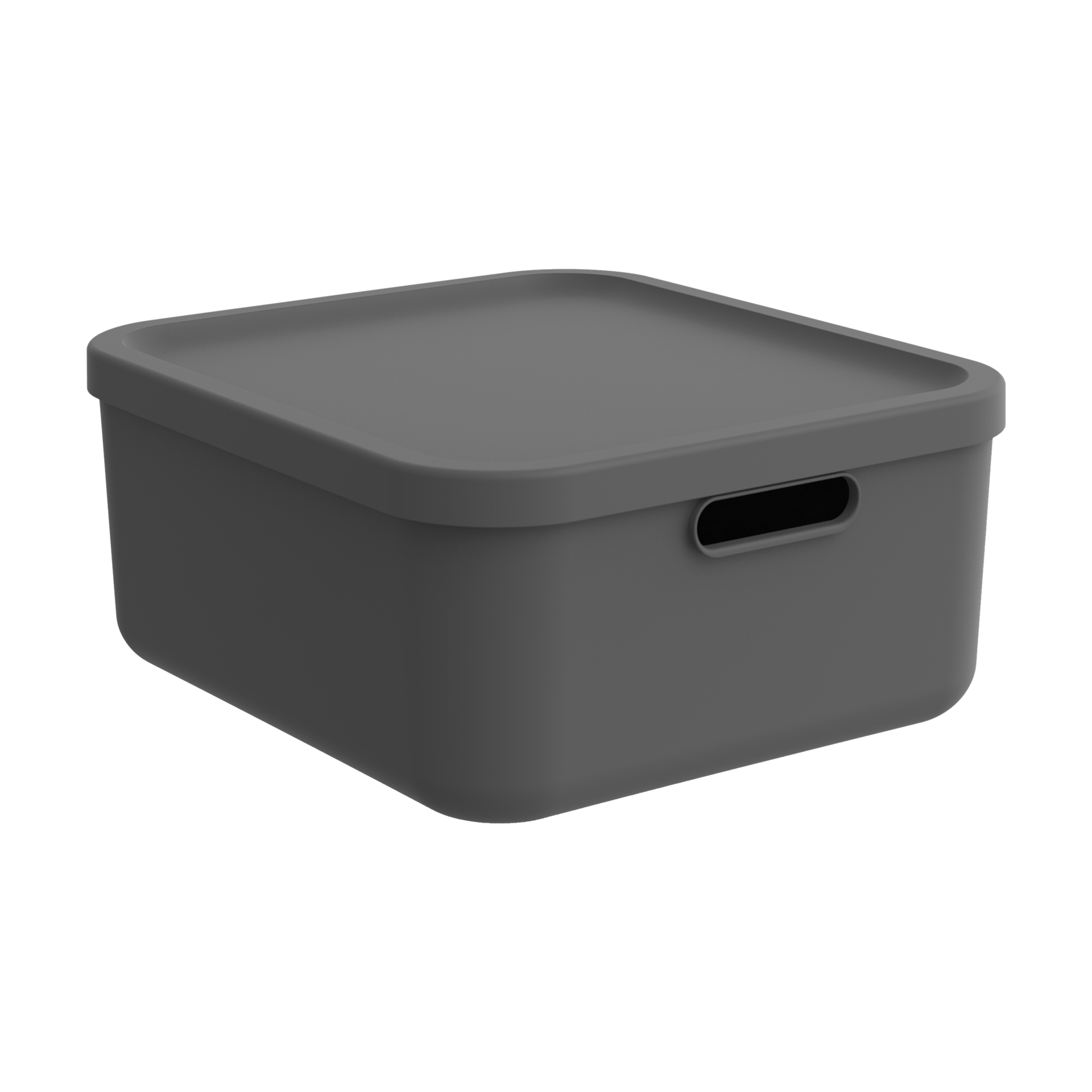 Rotho Box Albula Rotho Box Albula