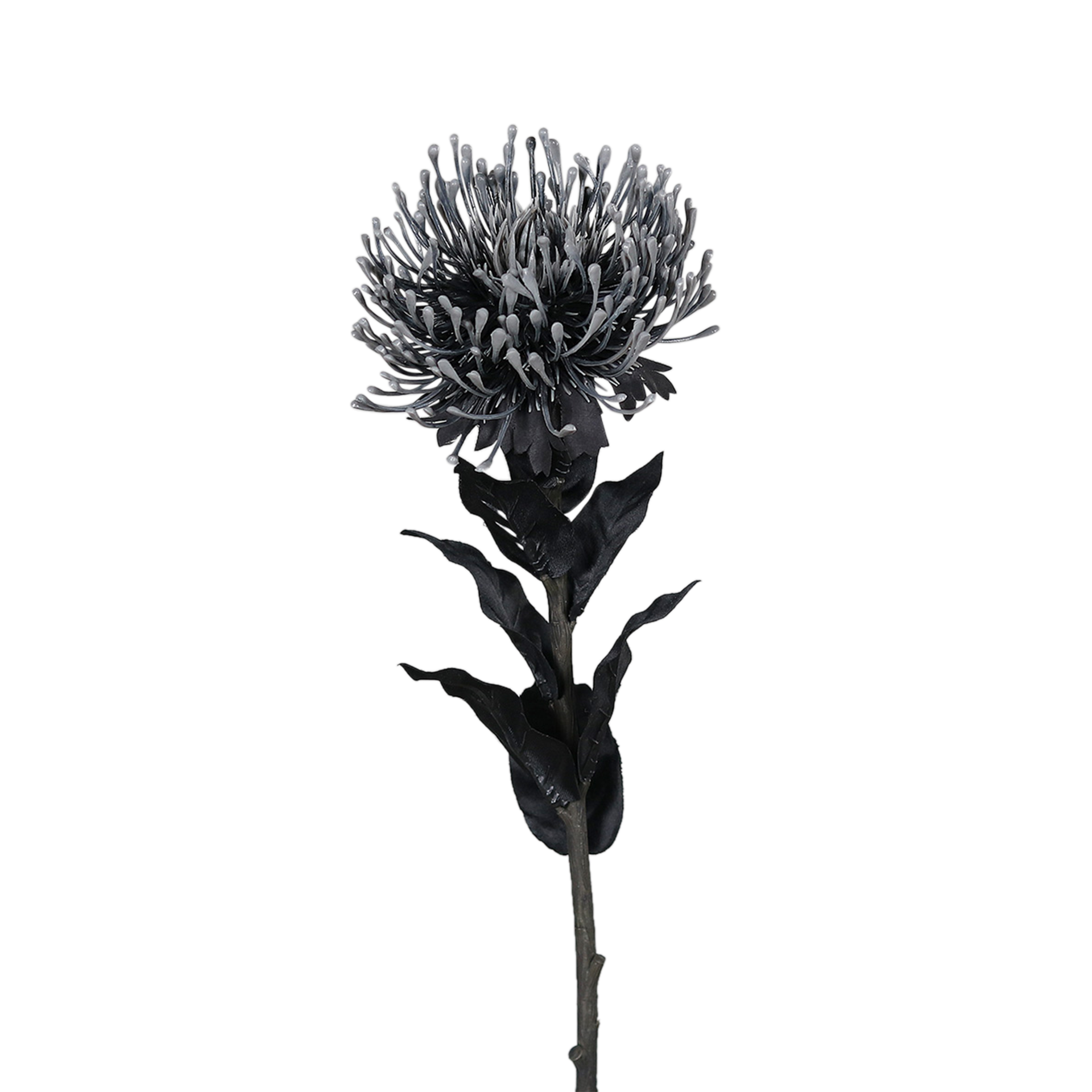 Kunstblume Protea Black