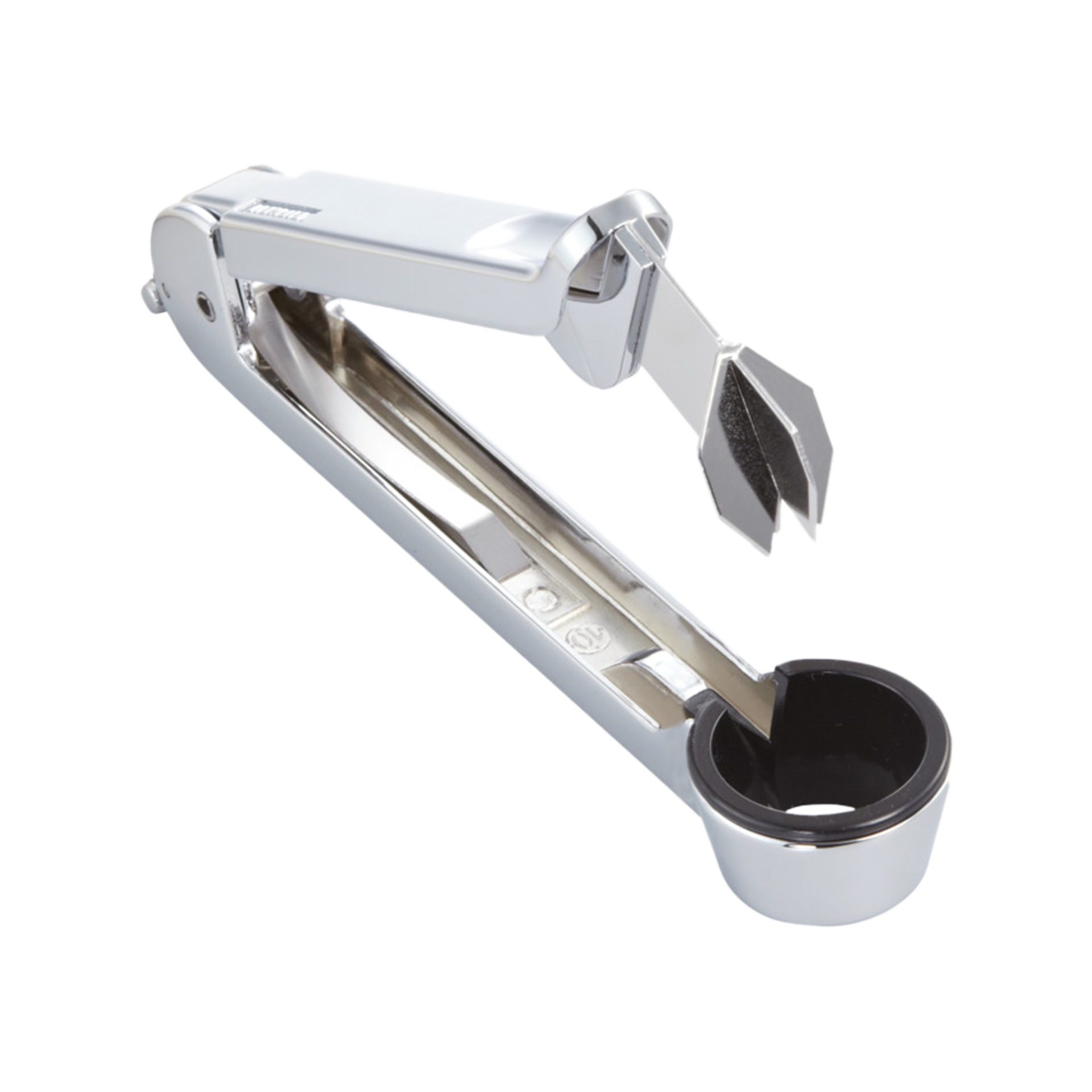 Leifheit Pflaumenentsteiner