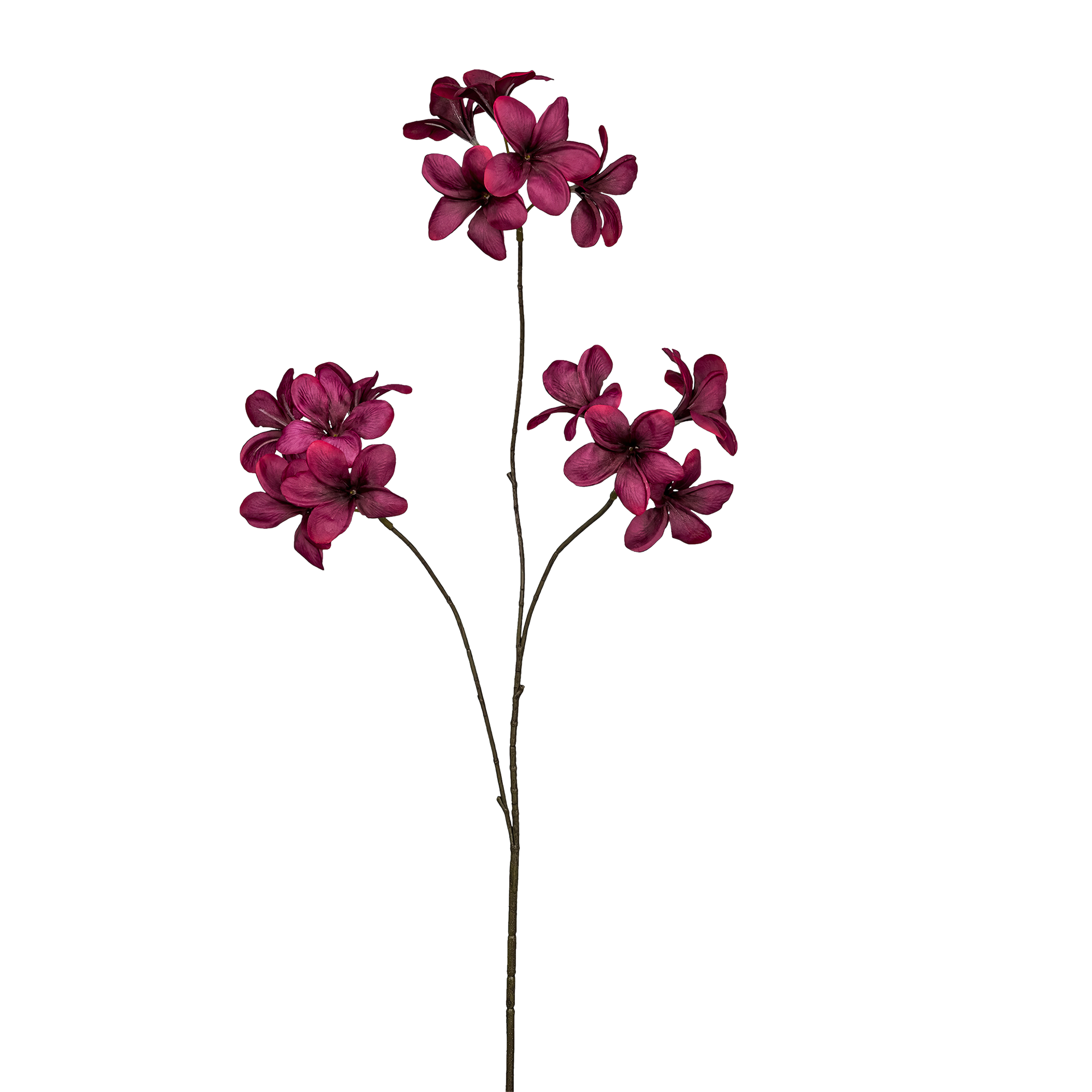 Kunstblume Frangipani Dunkelrot-Grün