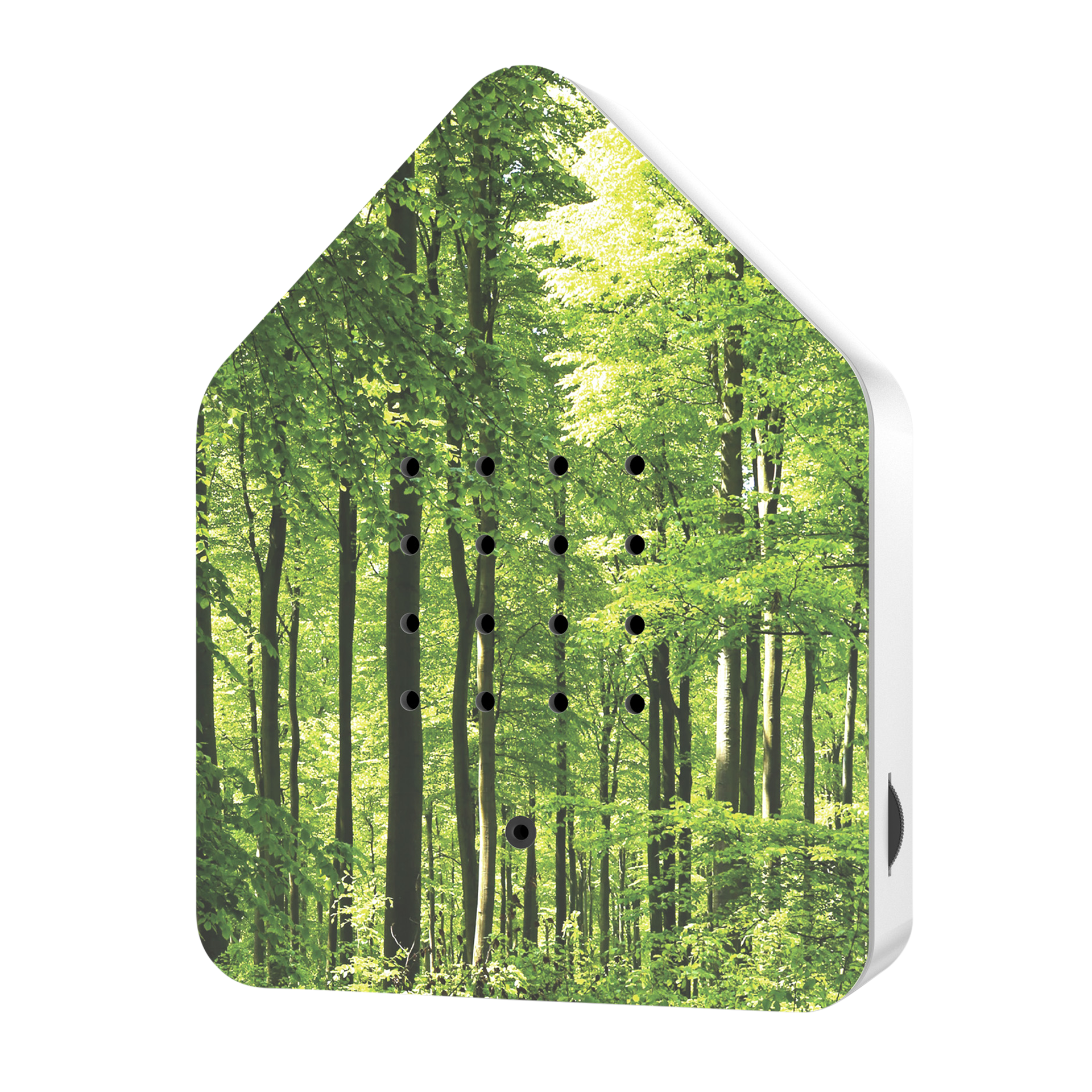 Dekoaufsteller Box Grün Dekoaufsteller Box Grün