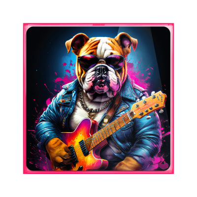 Bild Rahpaello Rosa-Bunt Bild Rahpaello Rosa-Bunt