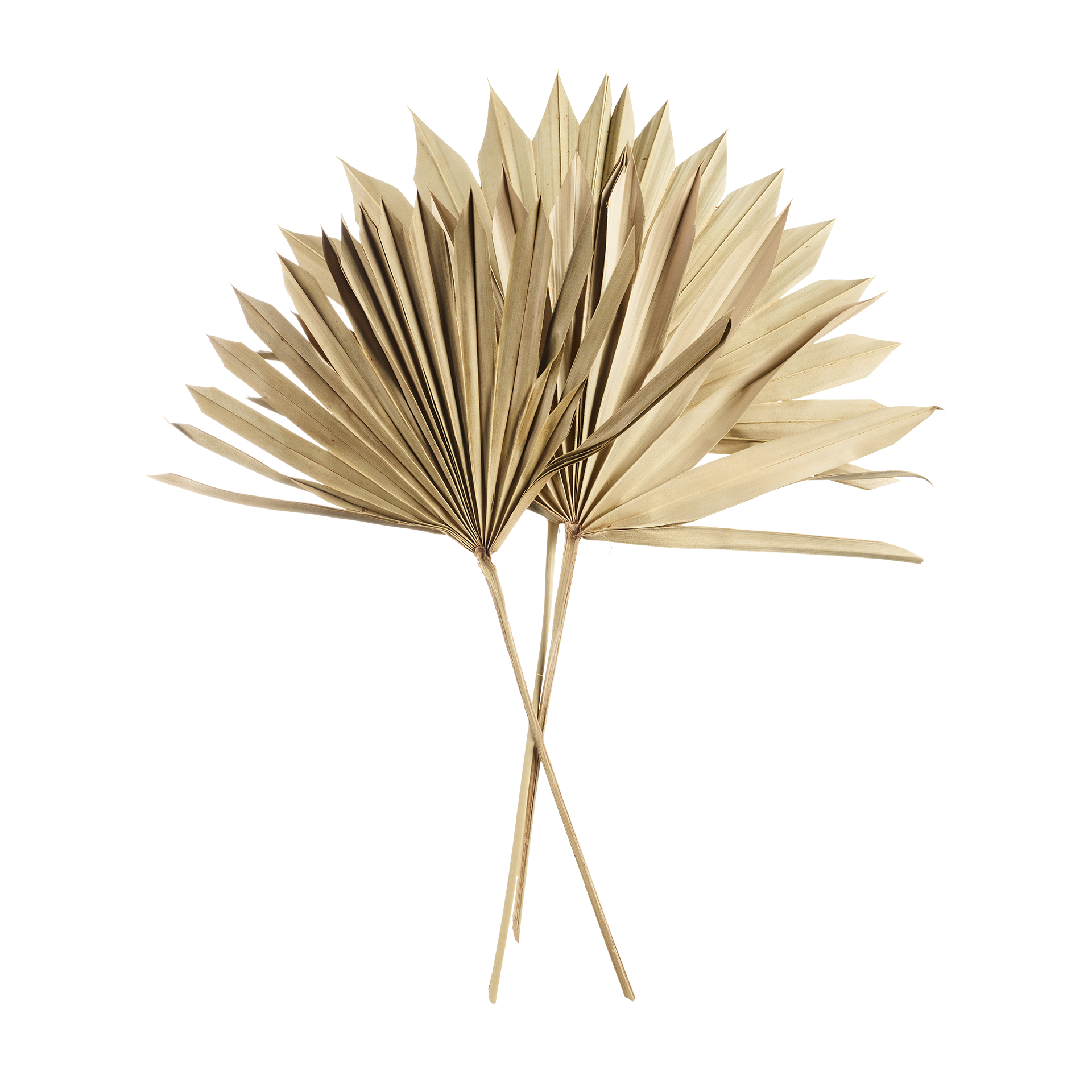 Dekoaufsteller Beige Dekoaufsteller Beige