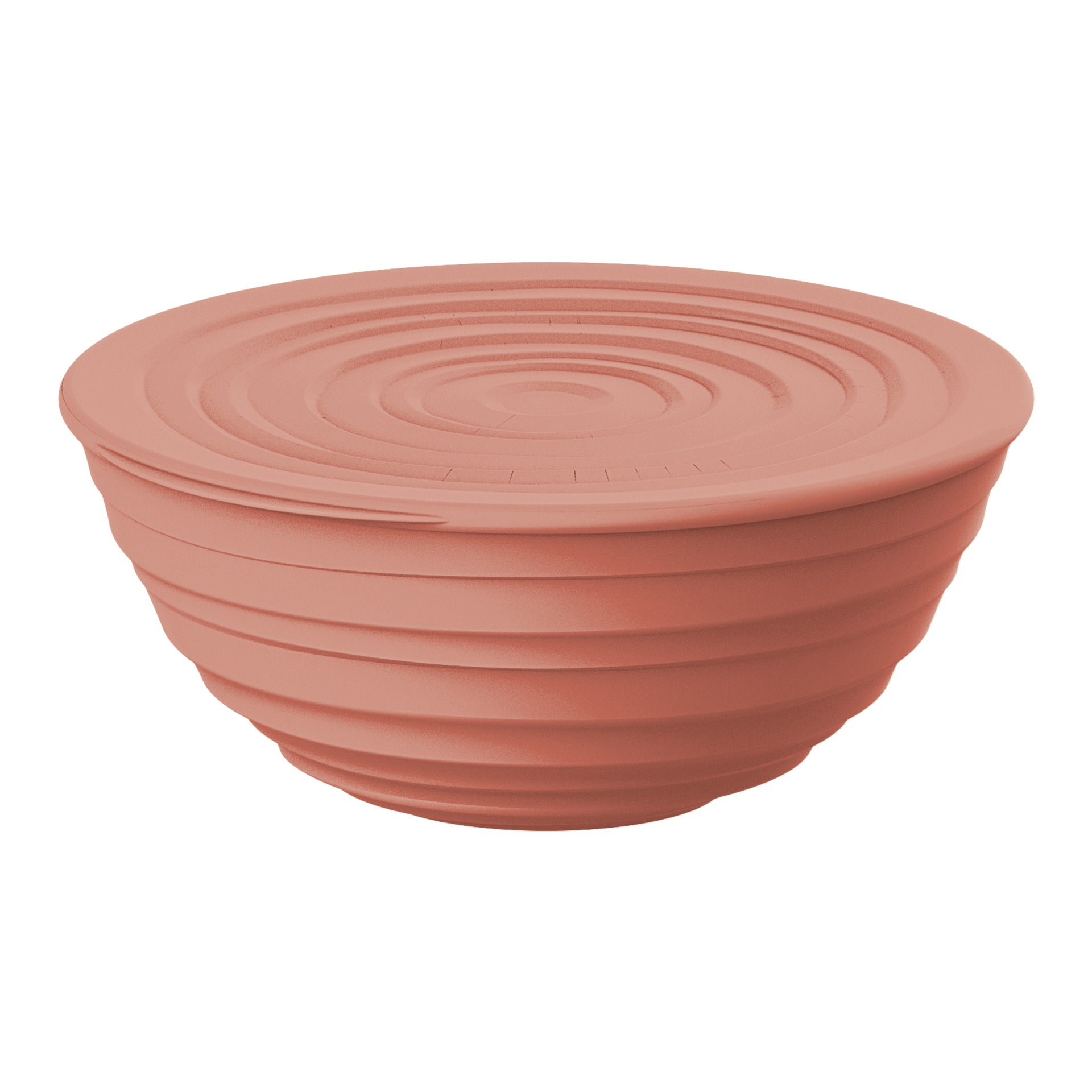 Schüssel Tierra 1