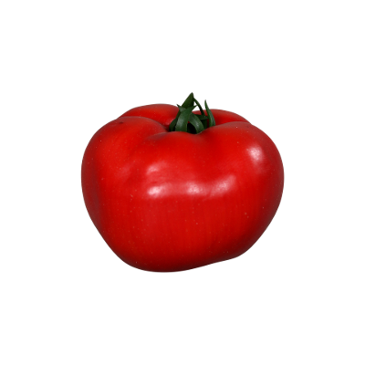 Dekofigur Tomtoe Rot