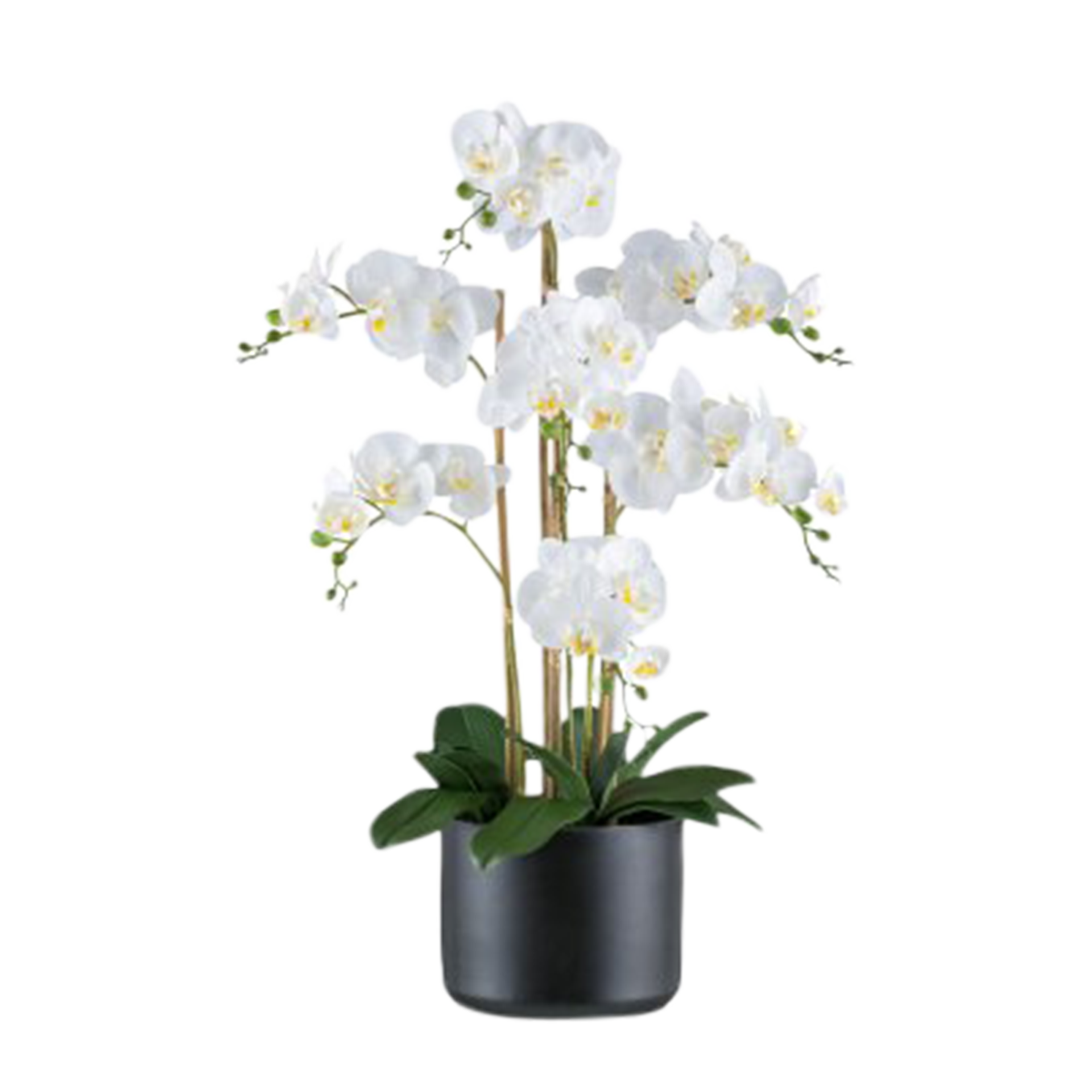 Kunstpflanze Phalaenopsis Weiß-Schwarz Kunstpflanze Phalaenopsis Weiß-Schwarz