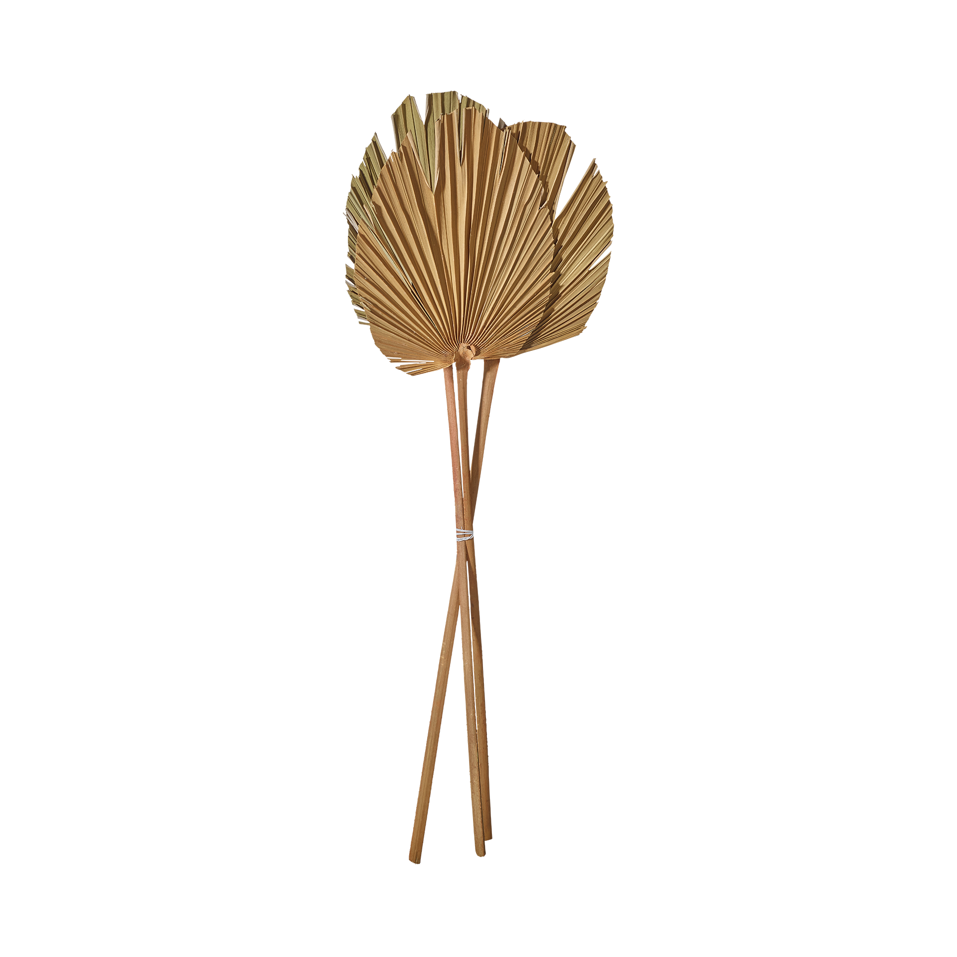 Dekoaufsteller Beige Dekoaufsteller Beige