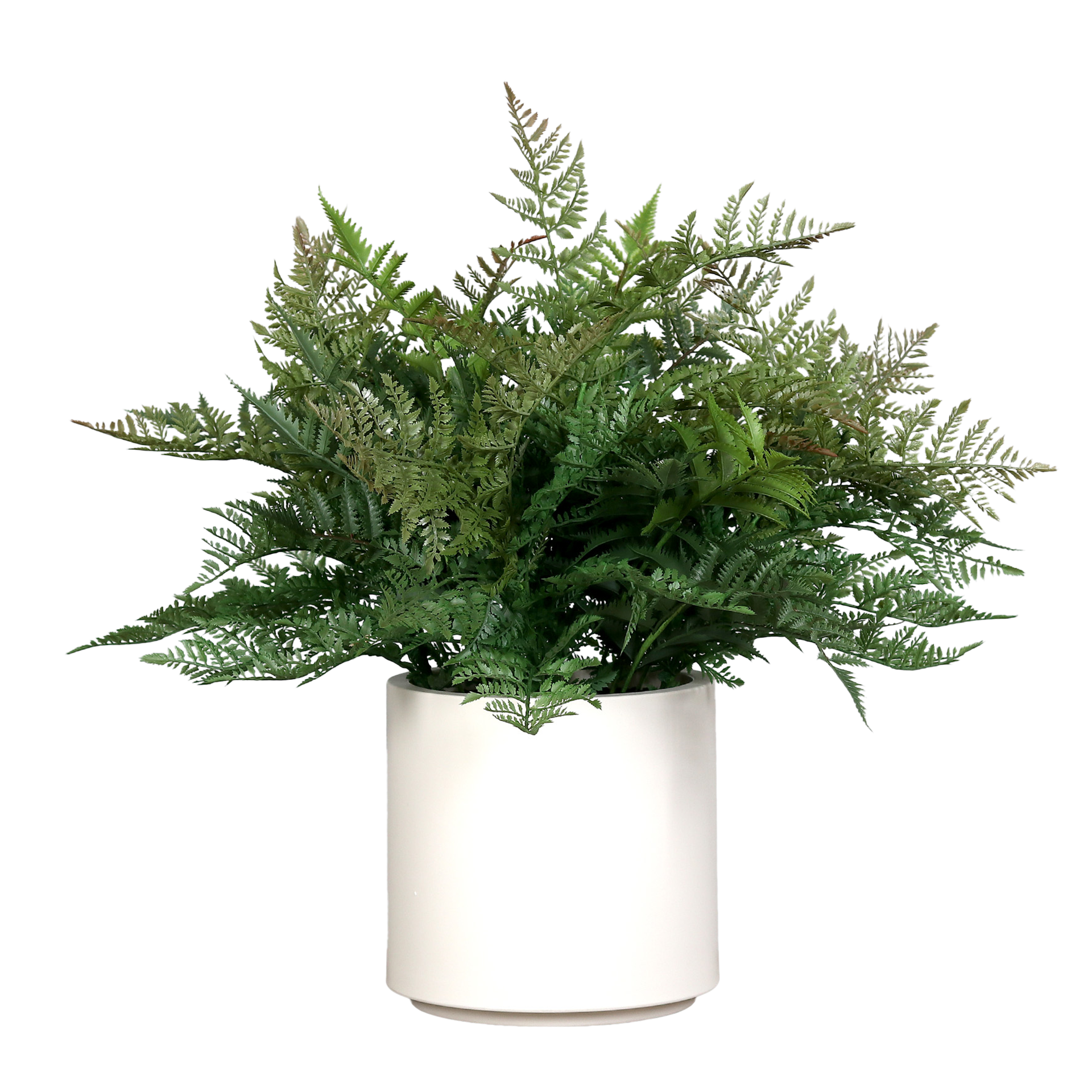 Kunstpflanze Farn Arrangement Grün Kunstpflanze Farn Arrangement Grün