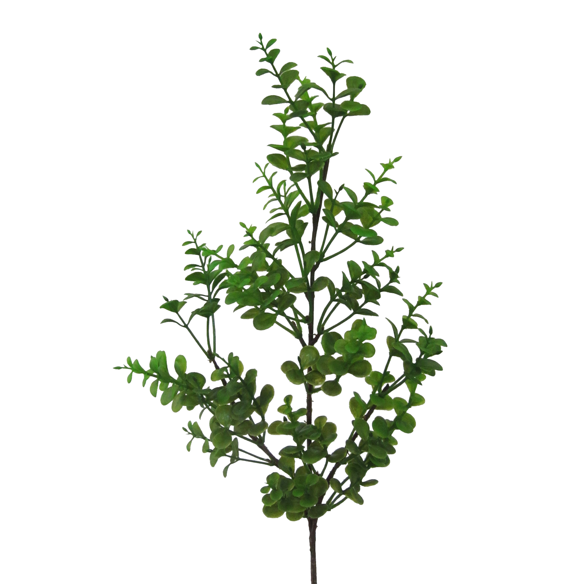 Kunstpflanze Cymbidie Weiß Kunstpflanze Cymbidie Weiß