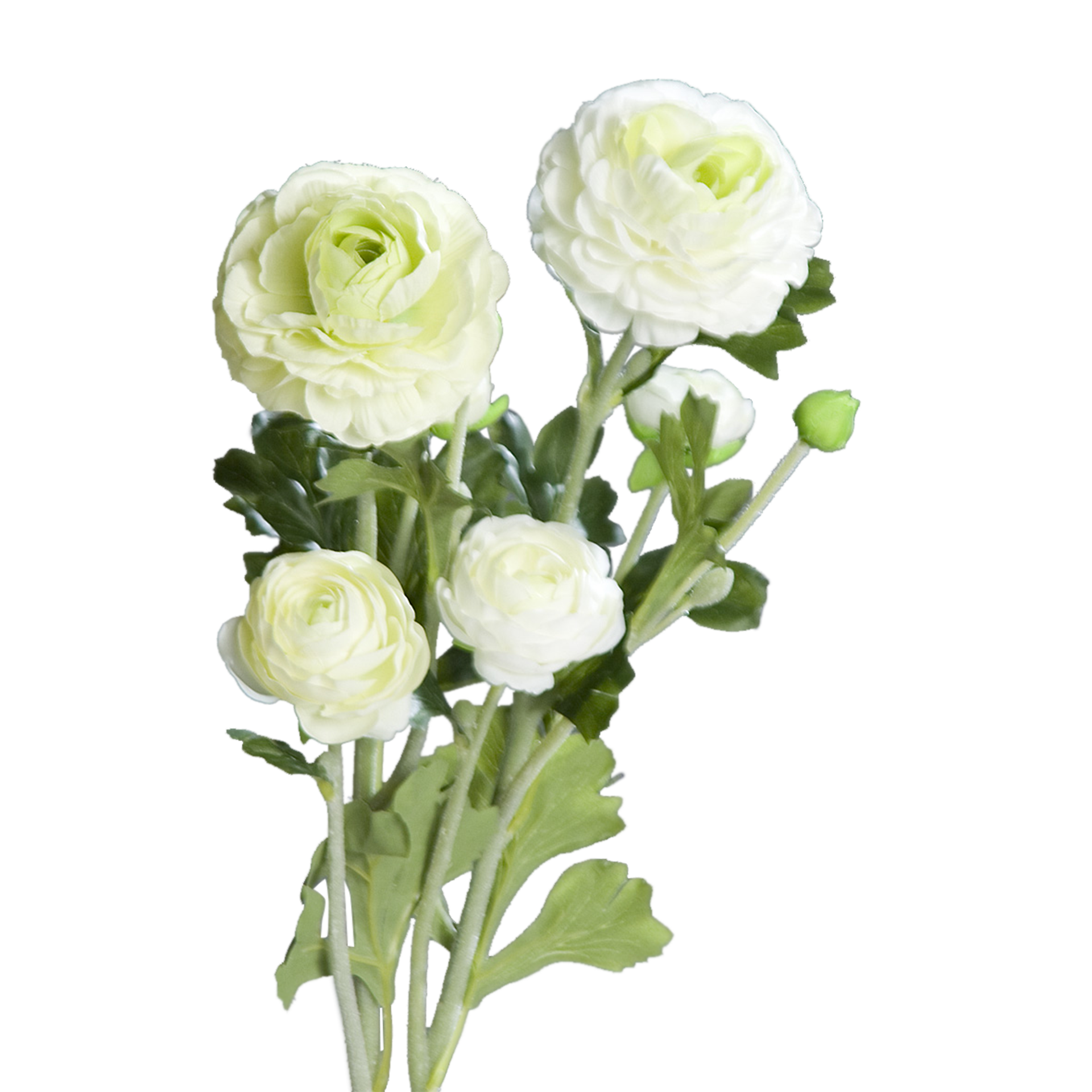 Kunstblume Ranunkel White-Green Kunstblume Ranunkel White-Green