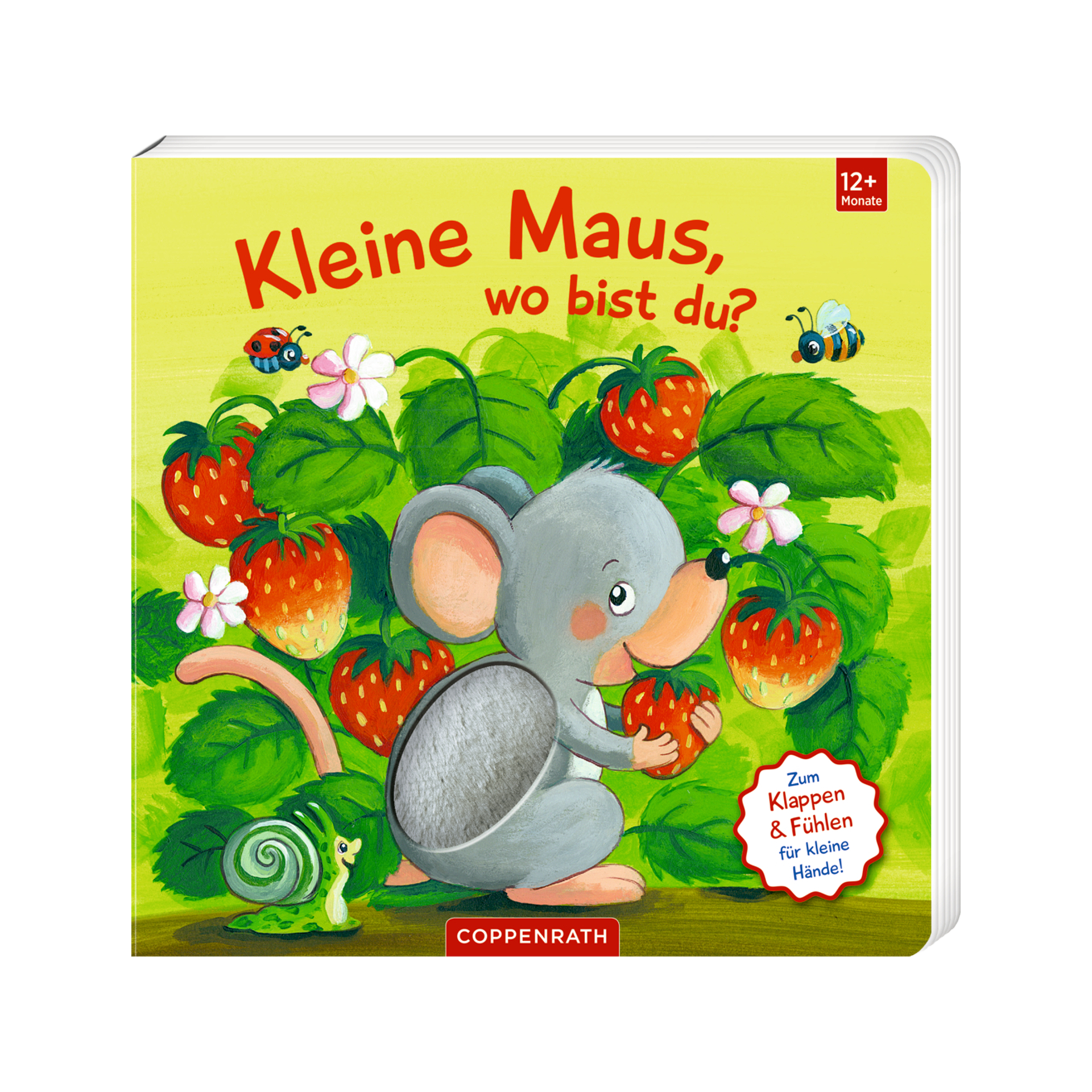 Buch Fühlen und die Welt begreifen Mehrfarbig