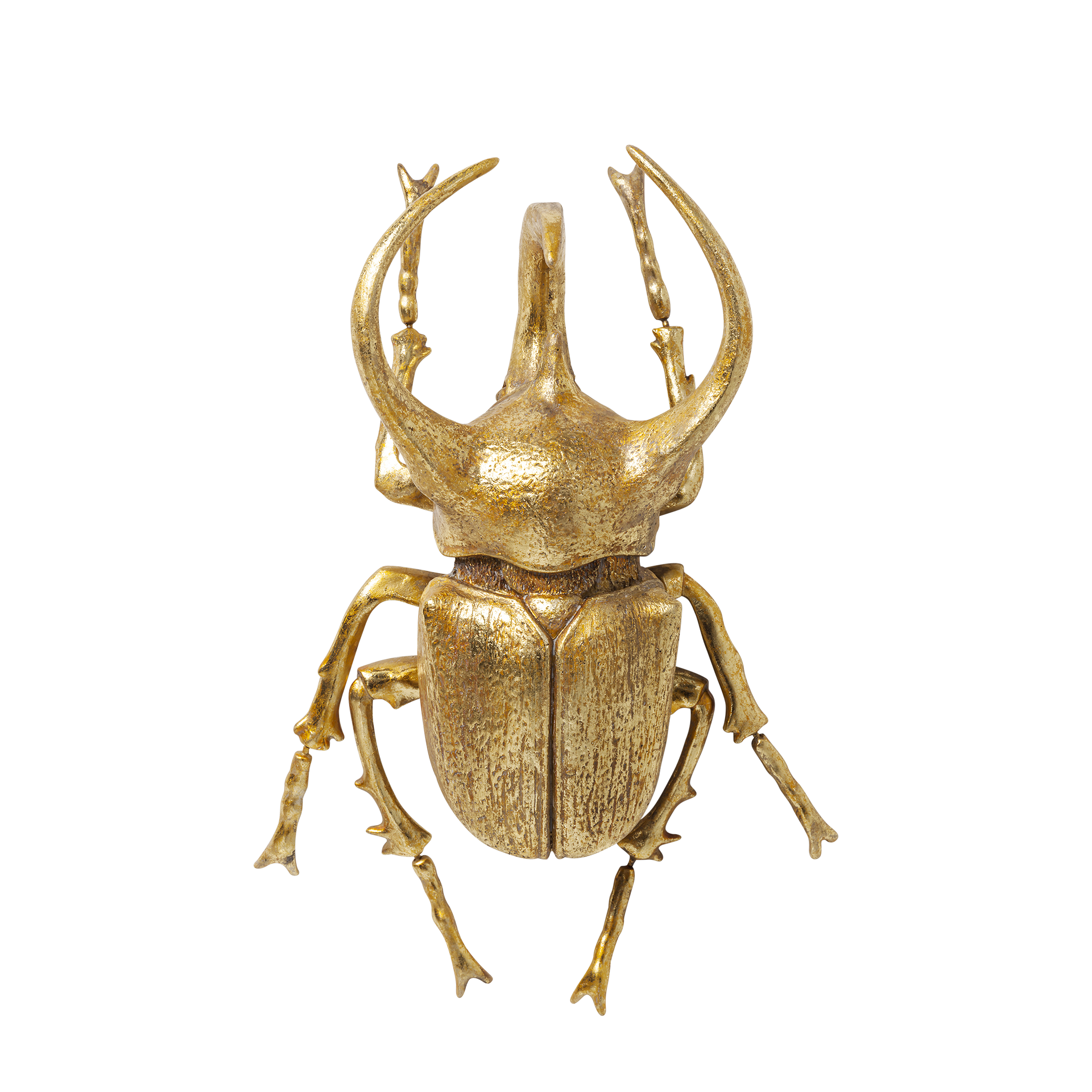 Kare Wanddeko Beetle Gold Kare Wanddeko Beetle Gold