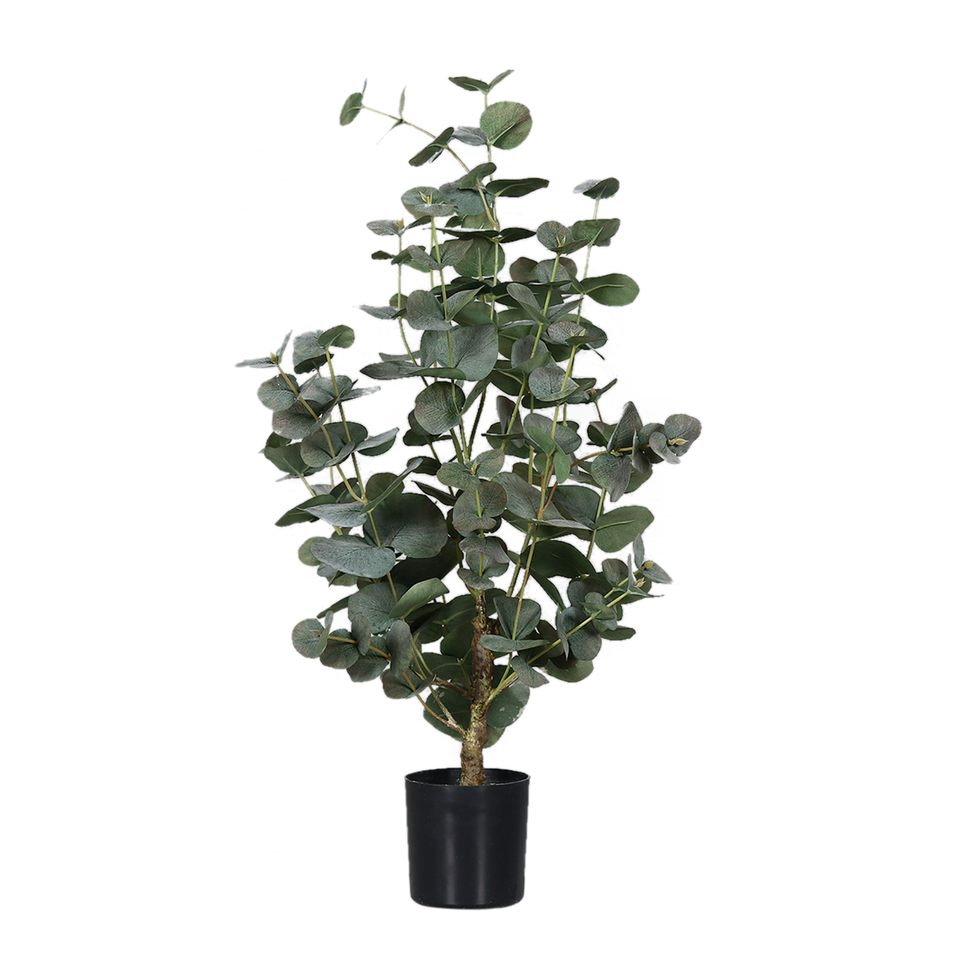 Kunstpflanze Eukalyptus Kunstpflanze Eukalyptus
