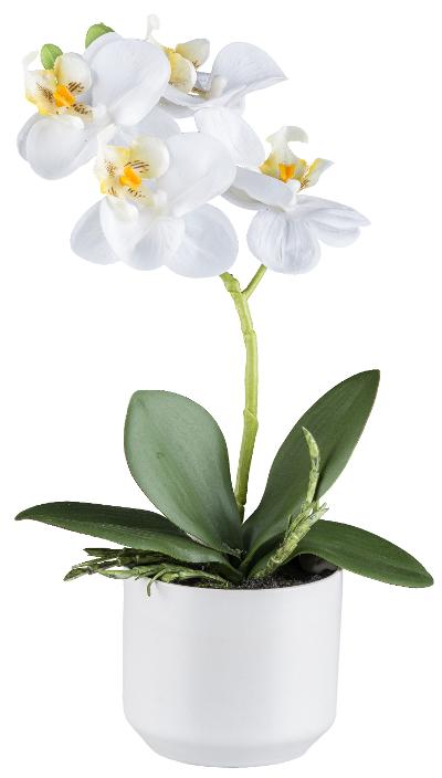 Kunstblume Phalaenopsis Weiß