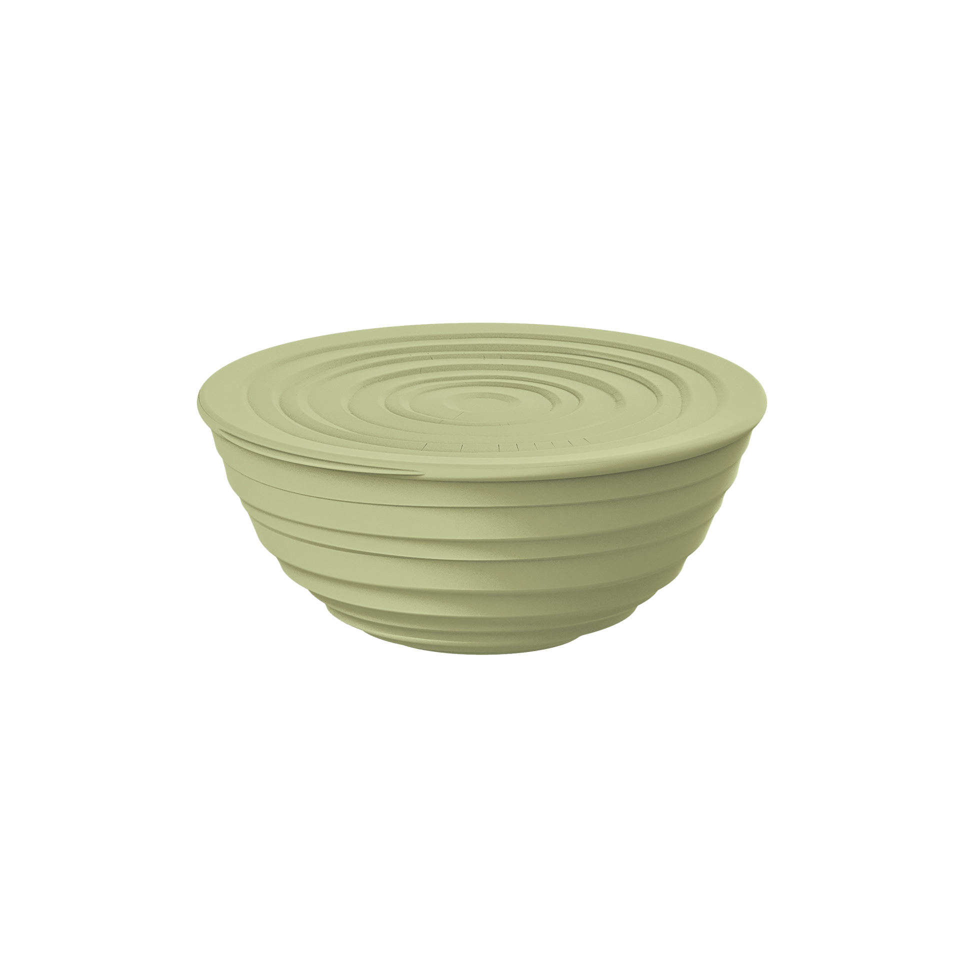 Schüssel Tierra 1