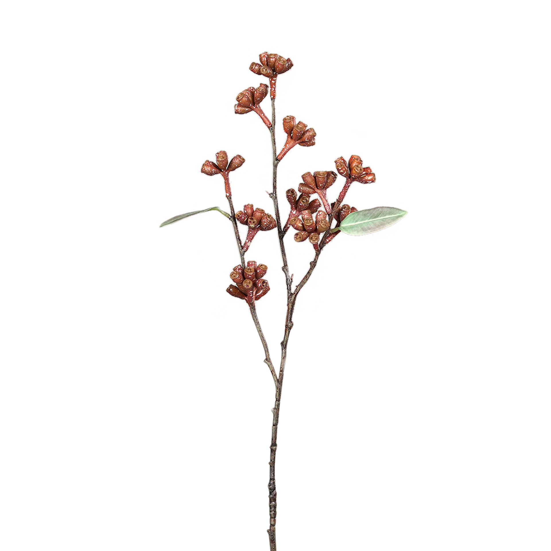 Kunstpflanze Eukalyptus red Kunstpflanze Eukalyptus red