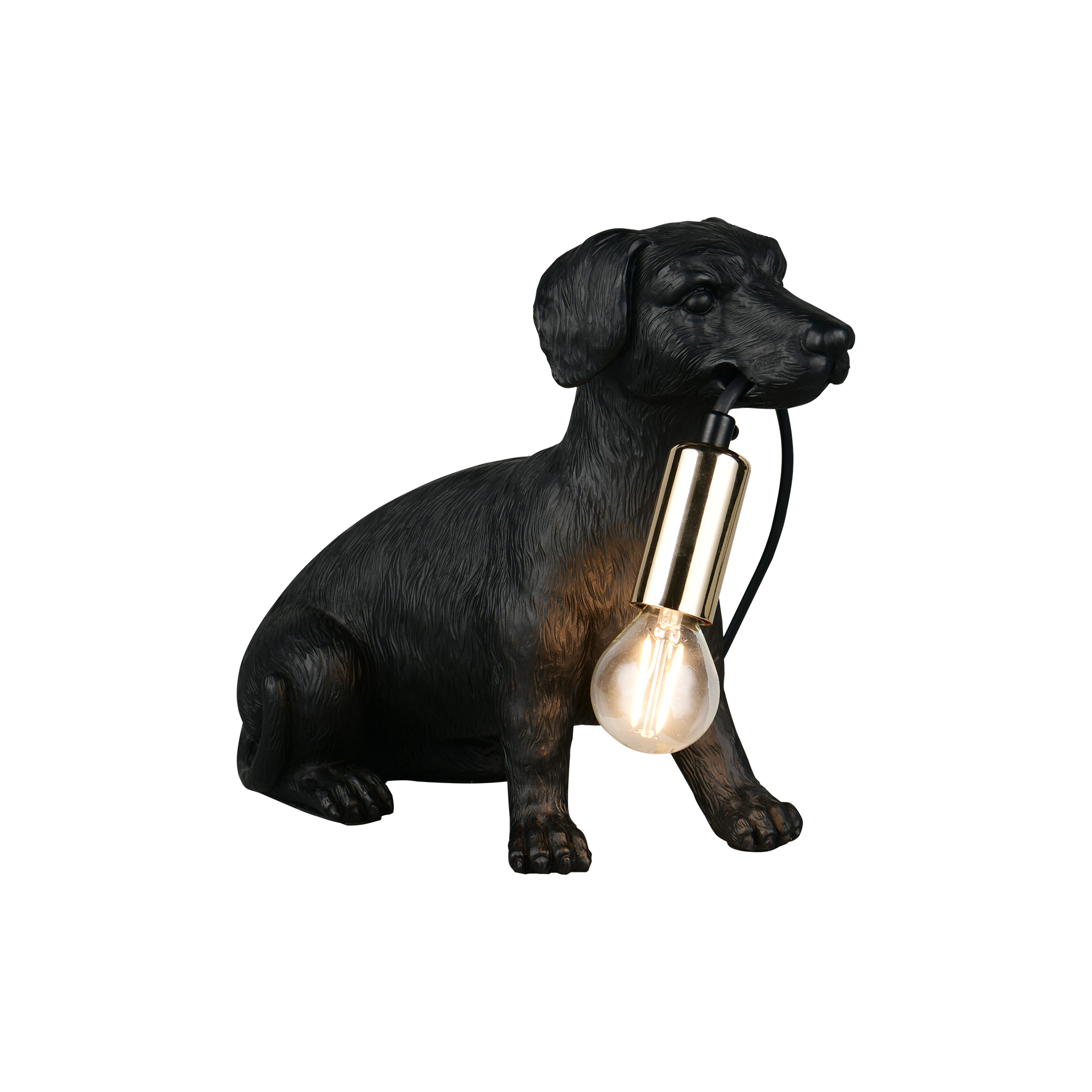 Tischleuchte Waldi Schwarz Tischleuchte Waldi Schwarz