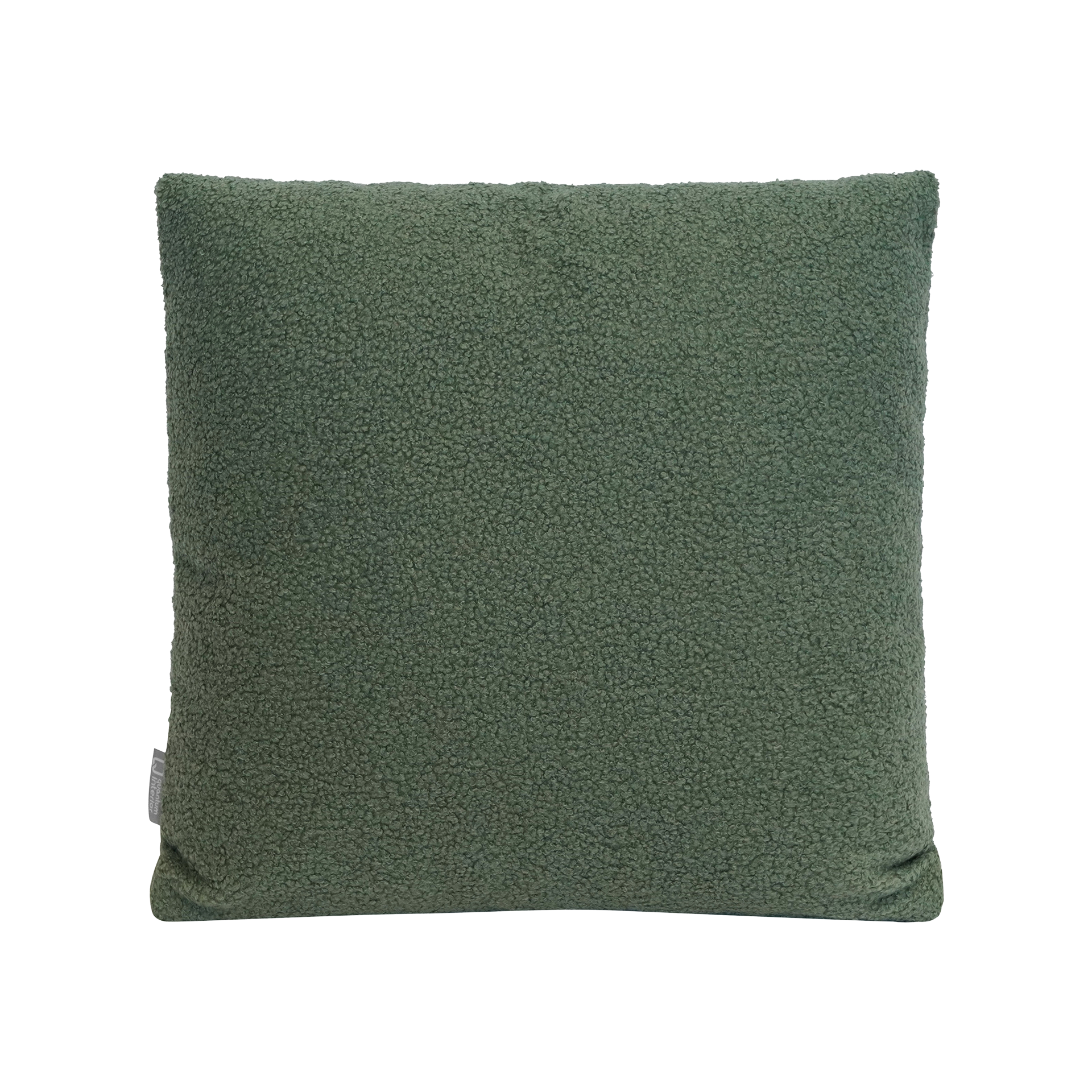Kissen Larry Mint 50x50cm