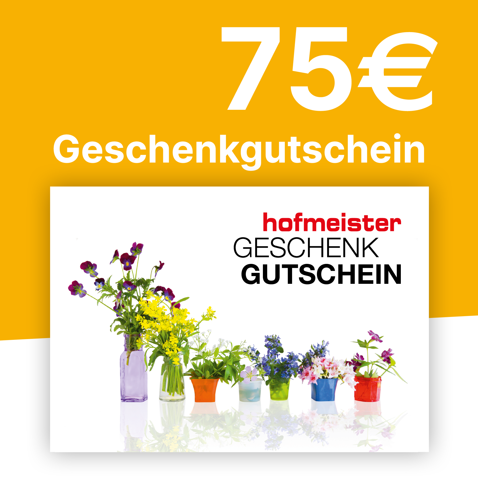 Gutschein 75,- € Gutschein 75,- €
