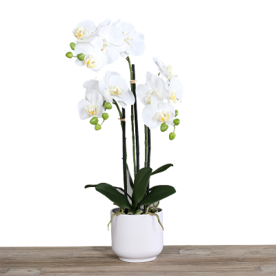 Kunstblume Orchidee Cream