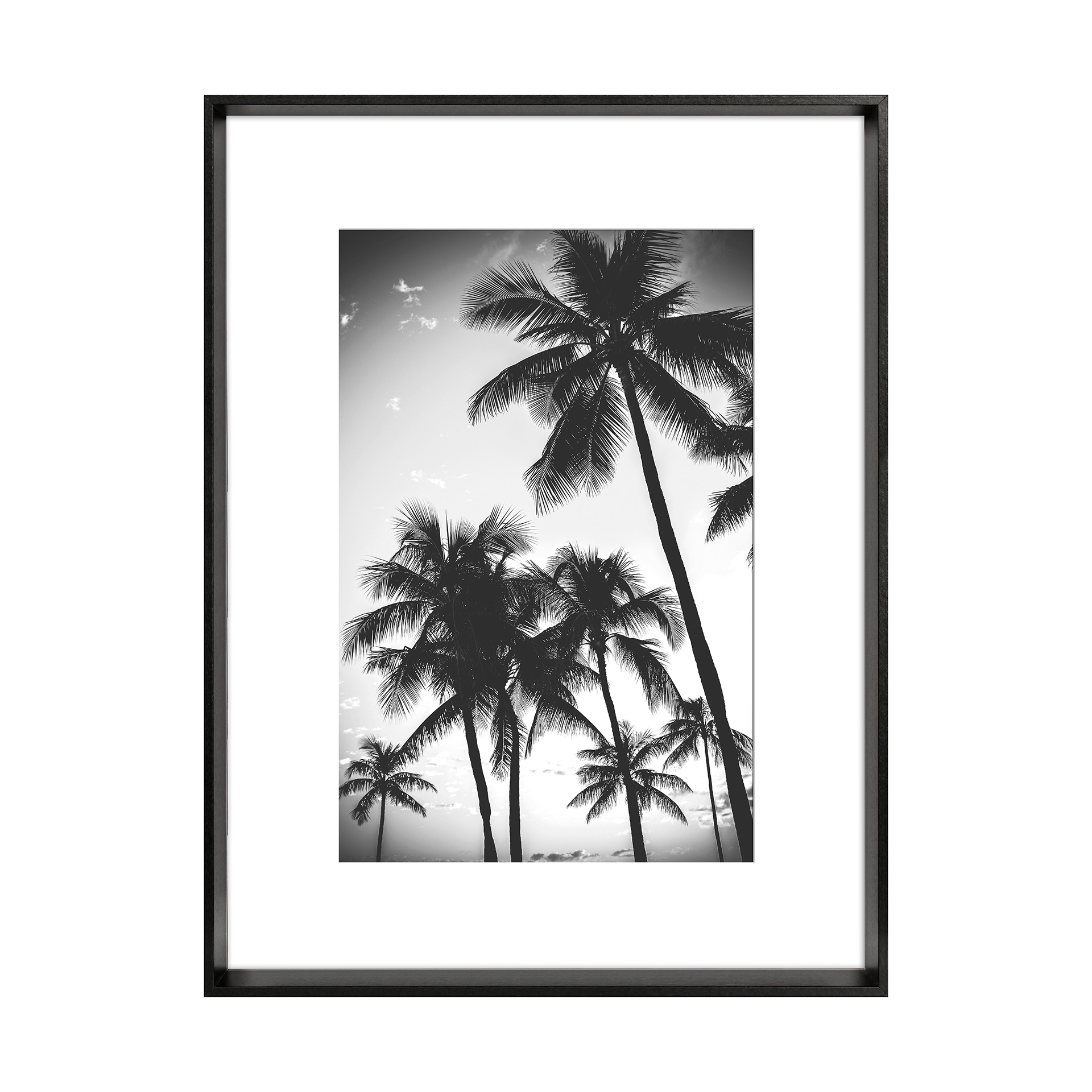 Bild Blanc Schwarz